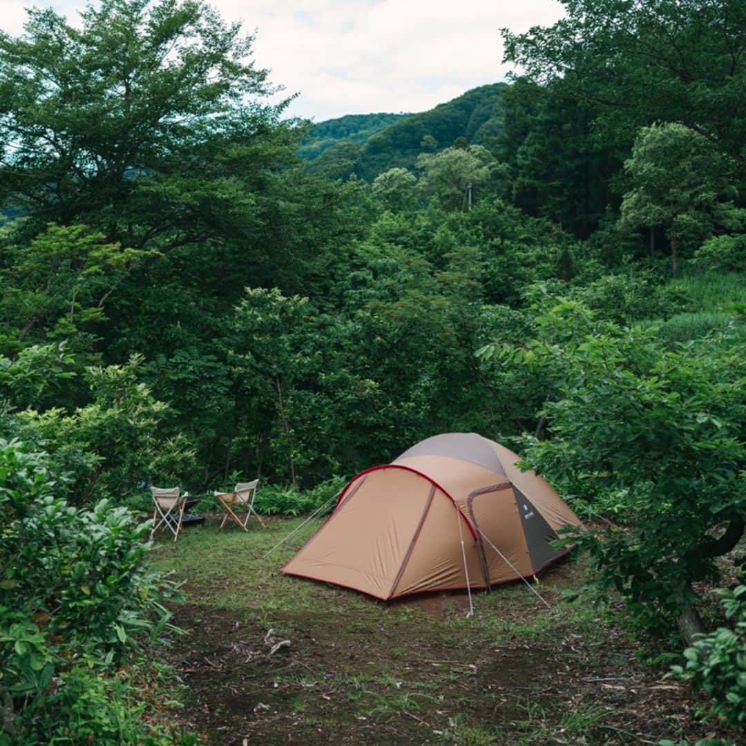 のインスタグラム：「A lush campsite featuring the Amenity Dome and Take! Chairs.」