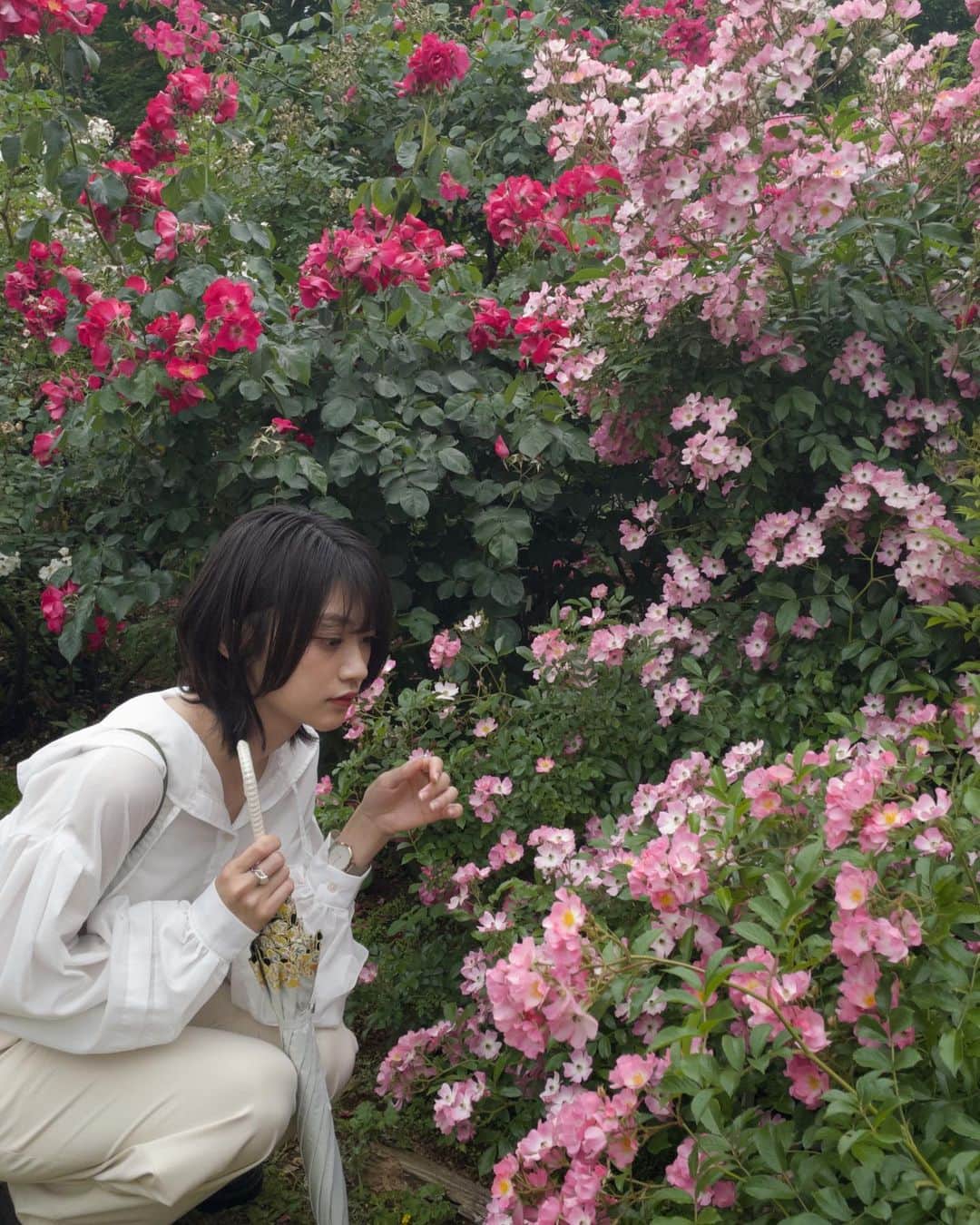 板倉可奈さんのインスタグラム写真 - (板倉可奈Instagram)「🩰🧺🦢  #kanacolor」5月30日 20時51分 - kn.sii.i