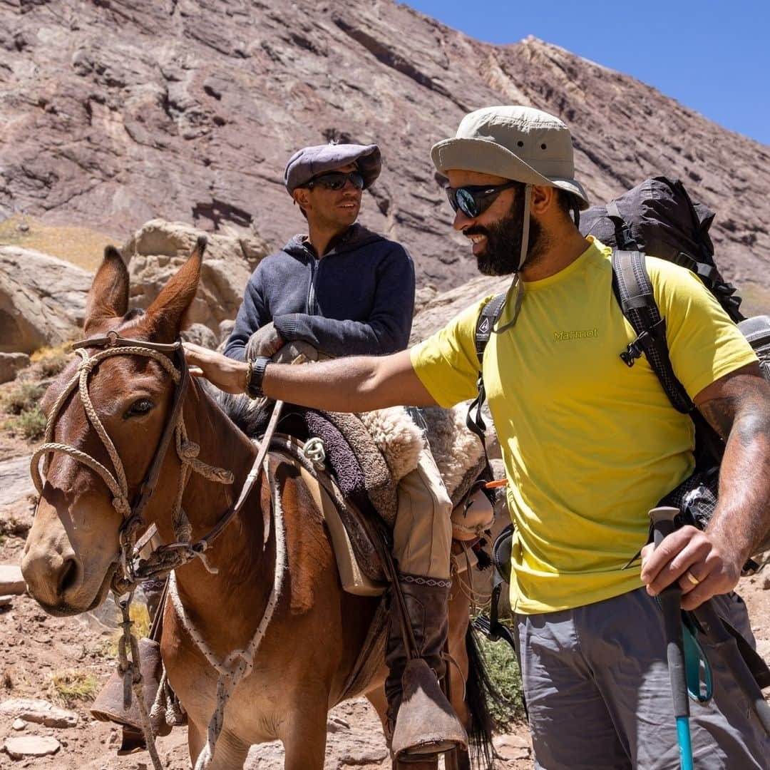 マーモットのインスタグラム：「Getting by with a little help from our friends 🐴   Photo 1: Max and Bruno Pavone @brunopavoneguide hike alongside the bules and arriero at sunrise. They are starting their acclimatization hike from Confluencia (11,122 feet elevation) to Mirador Plaza Francia (11,779 feet elevation). The mules are typically moving so fast that people are not able to walk alongside them!  Photo 2: Max Djenohan @nomadikmax pets a mula on the first day of a 16 day climb in Aconcagua Provincial park. Mules on the mountain help carry food and extra baggage to basecamp which is names Plaza de Mulas, or Mule Plaza. The Argentine cowboy next to him is called an Arriero, or a mule herder, that leads a 20 mule herd with loads of food and supplies to the plaza.  Photos: @jsack_foto  #Marmot」