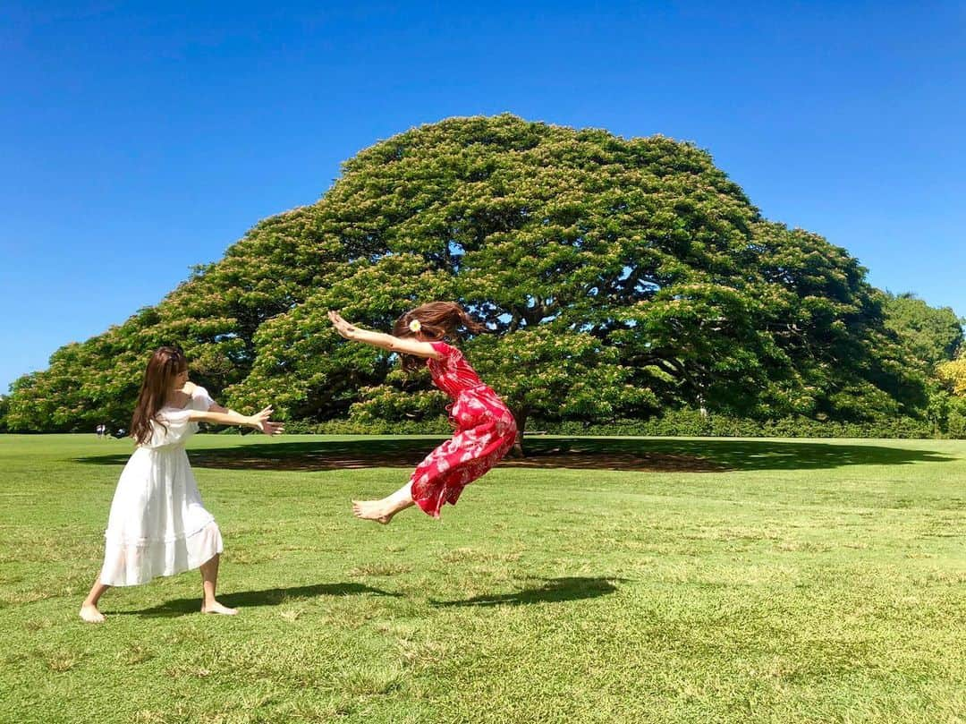 美波千夏さんのインスタグラム写真 - (美波千夏Instagram)「. カメハメハー？ カメカメハー？　  .  .  .  #ハワイ #ハワイ旅 #hawaii #この木なんの木」5月30日 21時10分 - chinatsu_minami