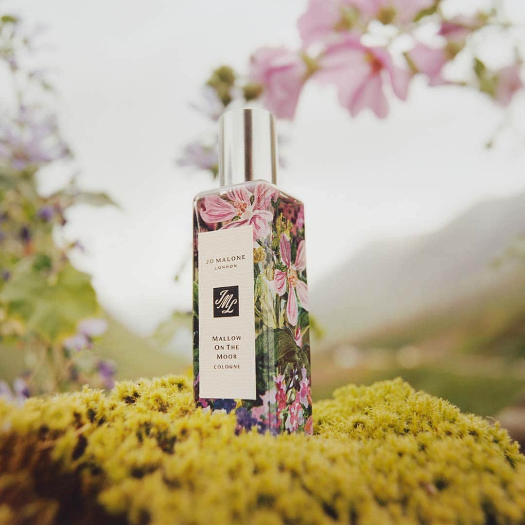 Jo Malone Londonさんのインスタグラム写真 - (Jo Malone LondonInstagram)「Purple petals spilling across an untamed landscape, beckoning bees with their vivid colour. Experience the soft floral scent of Mallow On The Moor. Tap to make it yours. #ScentsOfBritain」5月30日 21時23分 - jomalonelondon