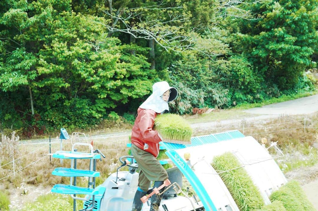 小林涼子さんのインスタグラム写真 - (小林涼子Instagram)「. 完全日焼け対策☀️  ようやく真っ直ぐ乗れるようになってきた田植え機。 運転はあまりしないから、なかなか上手くなれないけれど、今年はカーブも綺麗に曲がることができた✨  こうして、ロケや農繁期で 東京を離れる時も スタッフの皆がファームを守ってくれていて、本当に心強いなぁと 送られてくる写真を見ながら じぃん🥺  #新潟 #田植え #農繁期 #農業女子」5月30日 21時45分 - ryoko_kobayashi_ryoko