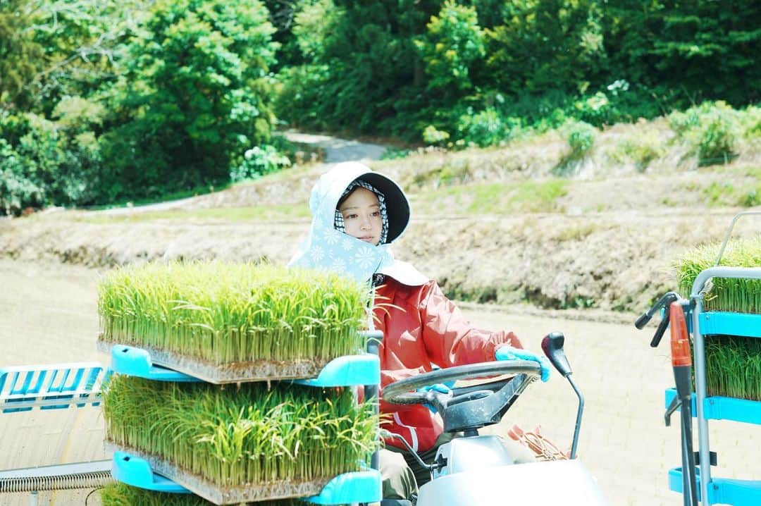 小林涼子のインスタグラム：「. 完全日焼け対策☀️  ようやく真っ直ぐ乗れるようになってきた田植え機。 運転はあまりしないから、なかなか上手くなれないけれど、今年はカーブも綺麗に曲がることができた✨  こうして、ロケや農繁期で 東京を離れる時も スタッフの皆がファームを守ってくれていて、本当に心強いなぁと 送られてくる写真を見ながら じぃん🥺  #新潟 #田植え #農繁期 #農業女子」