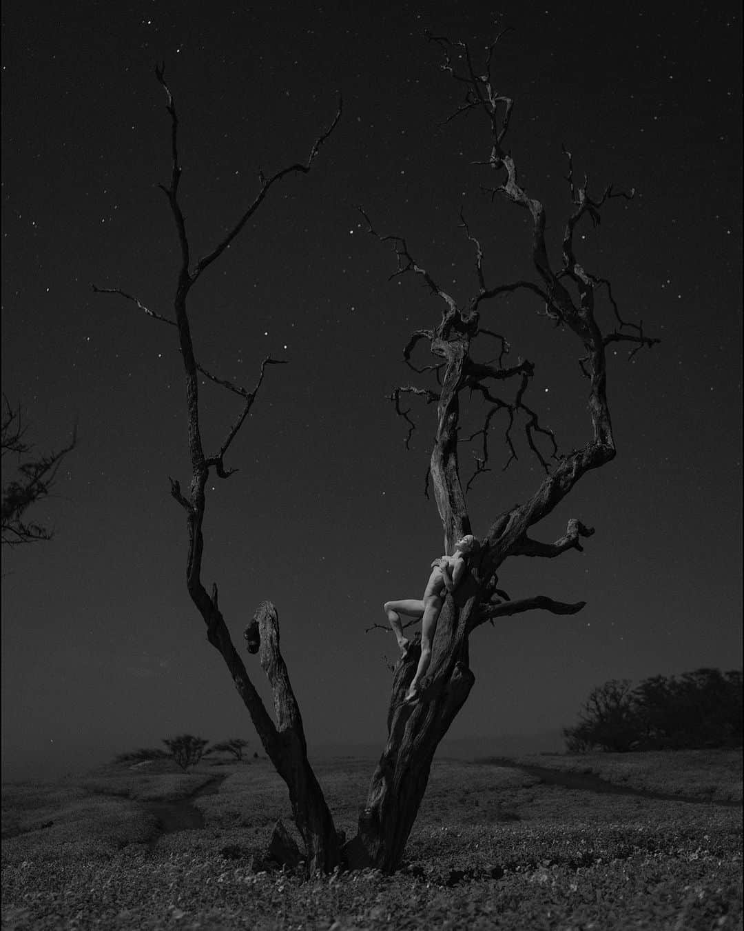 ballerina projectのインスタグラム：「𝐌𝐢𝐤𝐚𝐞𝐥𝐚 𝐊𝐞𝐥𝐥𝐲 under the moonlight of Molokai. 🌖  @mikaelakelly__ #mikaelakelly #ballerinaproject #moonlight #molokai #hawaii @wolford #wolford #hosiery   Ballerina Project 𝗹𝗮𝗿𝗴𝗲 𝗳𝗼𝗿𝗺𝗮𝘁 𝗹𝗶𝗺𝗶𝘁𝗲𝗱 𝗲𝗱𝘁𝗶𝗼𝗻 𝗽𝗿𝗶𝗻𝘁𝘀 and 𝗜𝗻𝘀𝘁𝗮𝘅 𝗰𝗼𝗹𝗹𝗲𝗰𝘁𝗶𝗼𝗻𝘀 on sale in our Etsy store. Link is located in our bio.  𝙎𝙪𝙗𝙨𝙘𝙧𝙞𝙗𝙚 to the 𝐁𝐚𝐥𝐥𝐞𝐫𝐢𝐧𝐚 𝐏𝐫𝐨𝐣𝐞𝐜𝐭 on Instagram to have access to exclusive and never seen before content. 🩰」