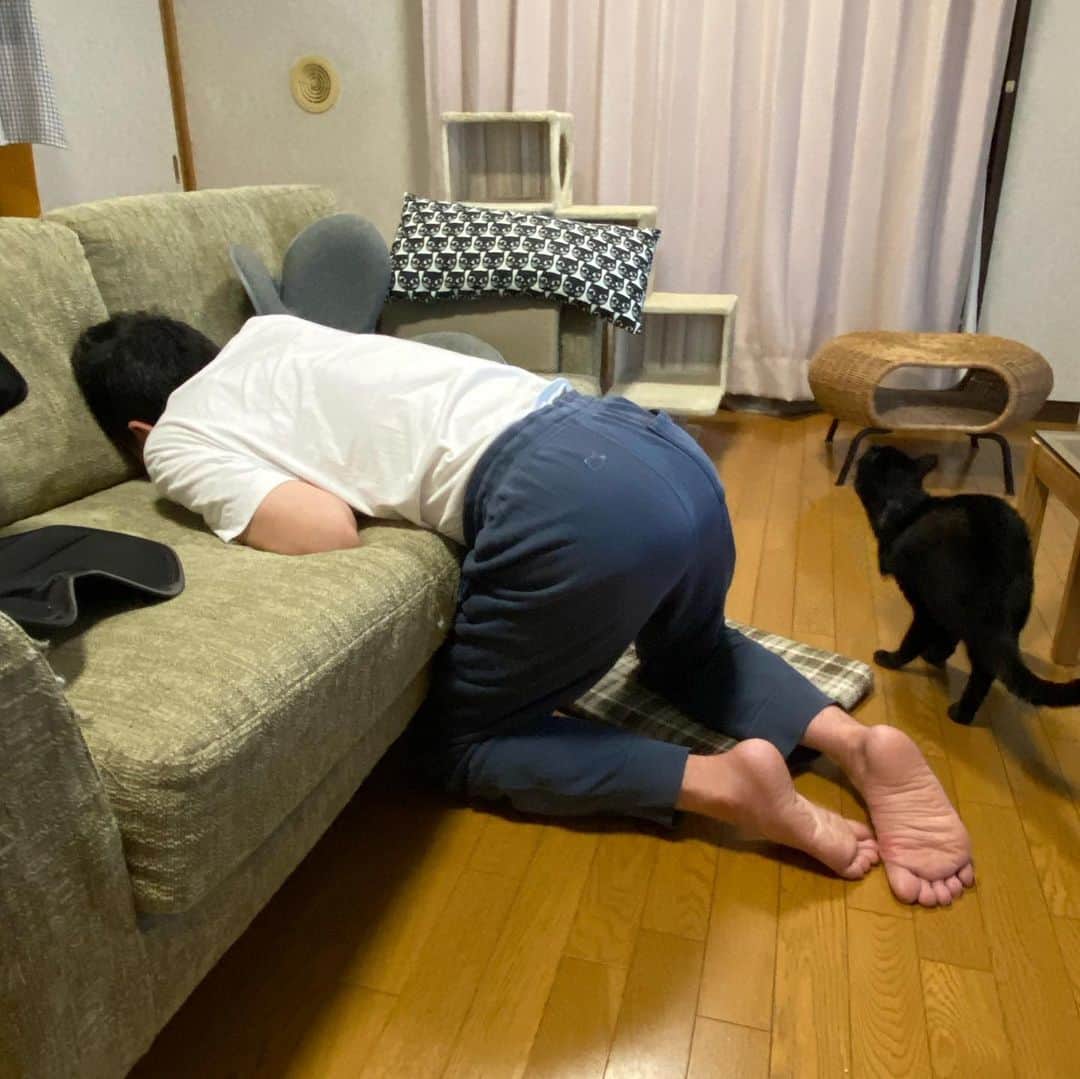 nemuru_catさんのインスタグラム写真 - (nemuru_catInstagram)「#眠る夫  もちろん寝てる💤 起きてからわかったけど 寝てるけど スマホ見てて寝落ちした夫でした」5月30日 21時48分 - nemuru_cat