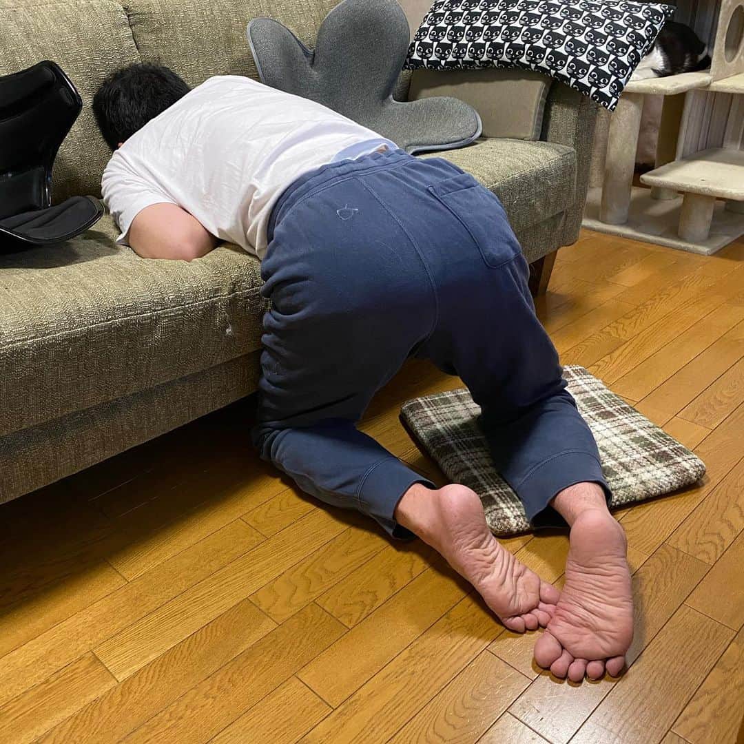 nemuru_catのインスタグラム：「#眠る夫  もちろん寝てる💤 起きてからわかったけど 寝てるけど スマホ見てて寝落ちした夫でした」