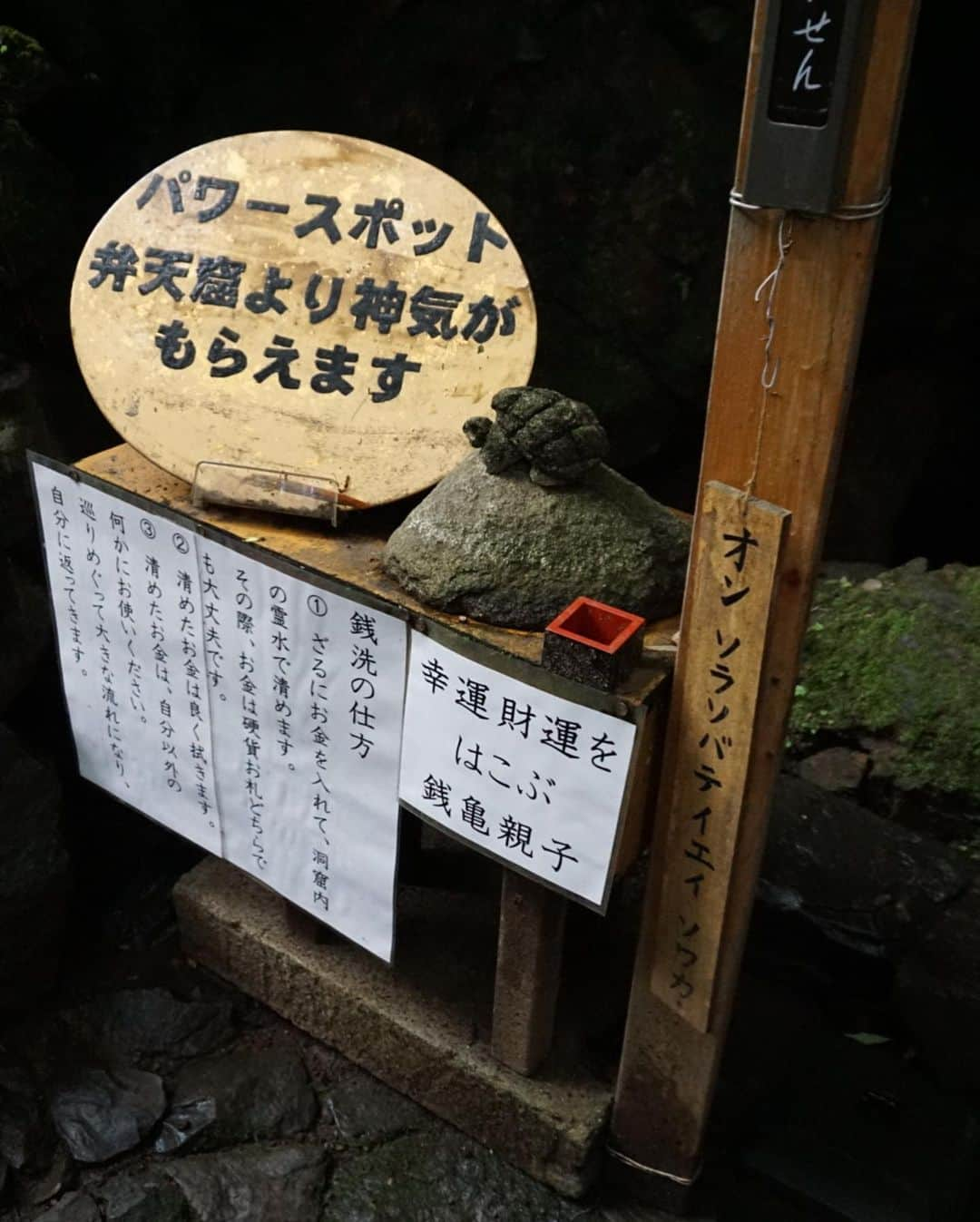 小池里奈さんのインスタグラム写真 - (小池里奈Instagram)「太平山 あじさい坂  お天気が心配でしたが、母とお散歩してきました🚶‍♀️🚶‍♀️  あじさいはまだ満開ではありませんでしたが、雨のシトシトサウンドと鳥の鳴き声と葉っぱのカサカササウンドがとても心地良かったです😌🍃 (9枚目動画です)  途中まで登って下ってで30分くらいかな！  坂の脇には窟神社があって手作り感満載の可愛らしい白蛇がお出迎えしてくれました🐍  とっても雰囲気の良い素敵なところなので良かったら皆さまも行ってみてくださいね🫶  #栃木県  #栃木市  #栃木県観光  #太平山  #太平山あじさい坂  #窟神社  #あじさい  #sonya5100」5月30日 21時51分 - koike_rina_93