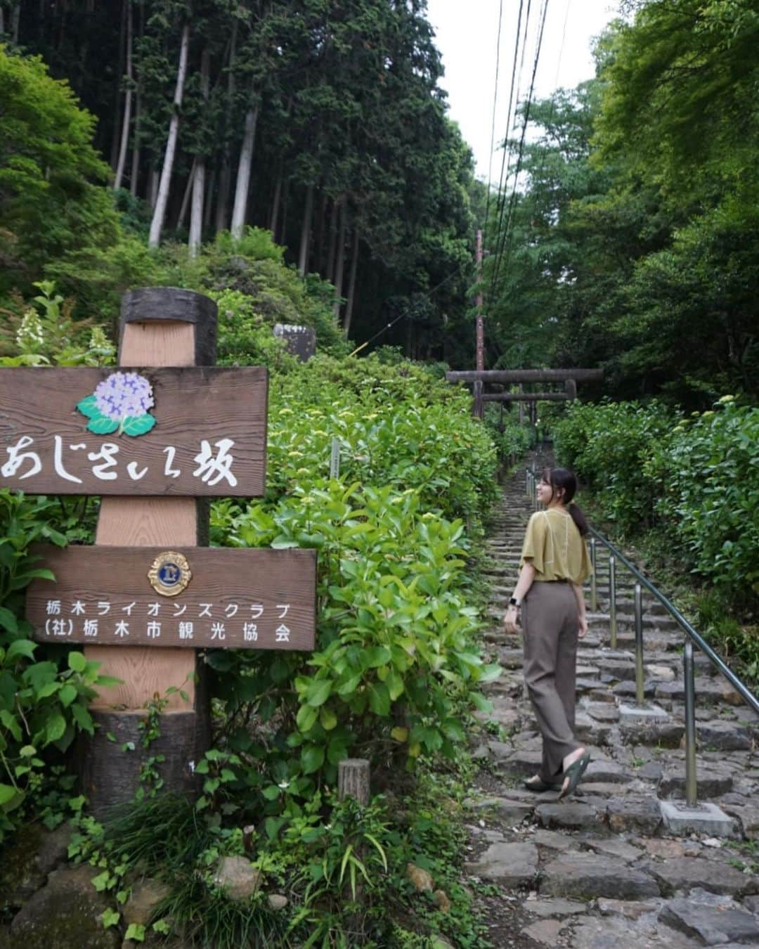 小池里奈のインスタグラム：「太平山 あじさい坂  お天気が心配でしたが、母とお散歩してきました🚶‍♀️🚶‍♀️  あじさいはまだ満開ではありませんでしたが、雨のシトシトサウンドと鳥の鳴き声と葉っぱのカサカササウンドがとても心地良かったです😌🍃 (9枚目動画です)  途中まで登って下ってで30分くらいかな！  坂の脇には窟神社があって手作り感満載の可愛らしい白蛇がお出迎えしてくれました🐍  とっても雰囲気の良い素敵なところなので良かったら皆さまも行ってみてくださいね🫶  #栃木県  #栃木市  #栃木県観光  #太平山  #太平山あじさい坂  #窟神社  #あじさい  #sonya5100」