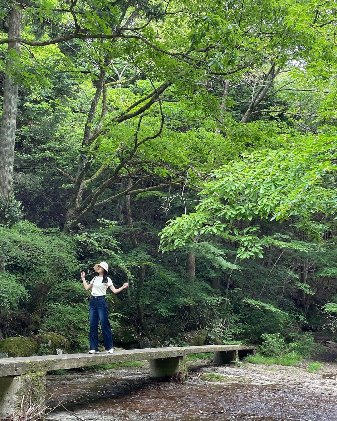 青木美奈実のインスタグラム：「#滑川渓谷 #東温市 #滝  おいしい空気を吸いたくて！」