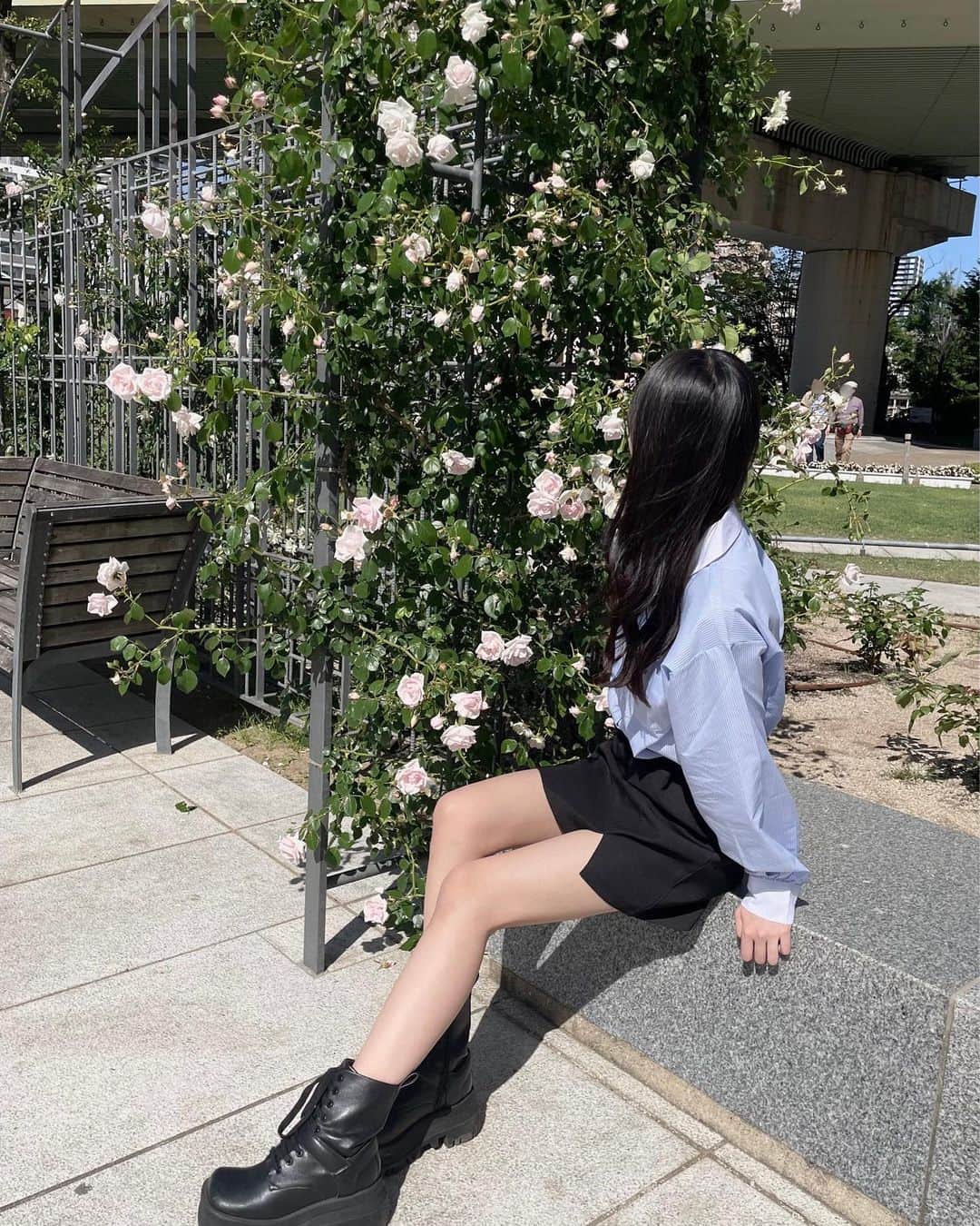 桜田彩叶のインスタグラム：「大好きな場所にこの前行ってきた〜 ♡  #大阪 #北浜  #大阪観光  #大阪旅行  #バラ園  #薔薇園  #中之島  #中之島バラ園  #treatyourself  #charlesandkeith  #ストライプシャツ  #シャツコーデ」