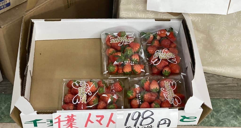 政宗のインスタグラム：「今日 #中野ブロードウェイ に行ったのだが トマトが安く売ってました  オレにはイチゴに見えるのだけど　　気のせいかな？？」