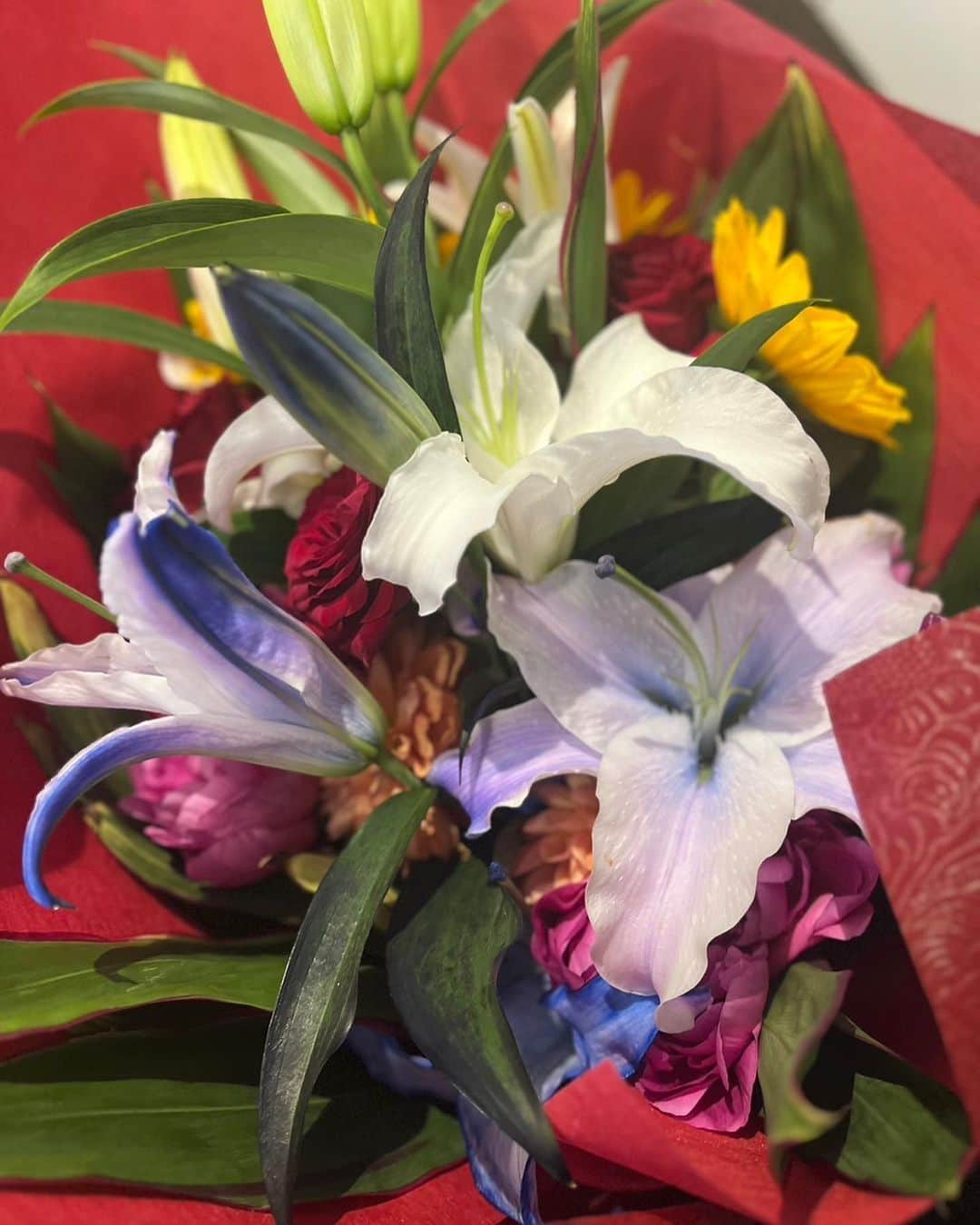 キャシー中島さんのインスタグラム写真 - (キャシー中島Instagram)「さあこれから本番です❤️ 23時からも元気に素敵なファッションをご紹介しますよ❣️ 10周年の記念に、マカナナキャシーを作ってくださっている会社の社長さんから花束をいただきました。 綺麗なブルーの百合です🫐 初めて見ました。 本当に綺麗❣️  ありがとうございます😭  今日のキルトはこのポーチ❤️ 洋輔が作ってくれました❤️ すごーーく気に入ってます。  さあハッピーをお届けしますよ。 見てね❣️#マカナナキャシー#10周年#キャシー中島#QVC」5月30日 22時43分 - official_kathynakajima