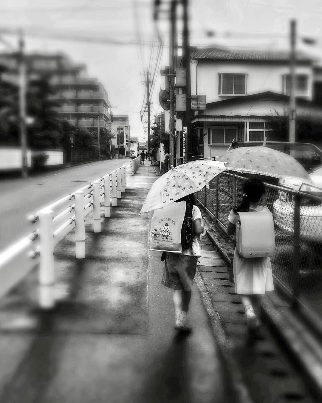 sunday_722のインスタグラム：「* * 雨の日の通学も * いつか * 思い出に変わるね * 8年前の写真 * もう中学生かな？ * * Device: iPhone5s APPs: Hipstamatic 1/7/2015 *  #ultimate_streets #umbrellaspoetry #Fukuokapics #9minimal7 #tv_pointofview #ig_photooftheday #Hipstamatic #bnw_demand #thesmartview #ClassicsMagazine #transfer_visions #rainyday #bnw_demand #awesomebnw #bnw_legit #insta_pick_bw #jj_blackwhite #top_bnw #bnw_greatshots #bnw_drama #theblackandwhiteseries #iedemo_graphy #art_of_japan_ #rox_captures #igersjp #genic_mag #moodygrams」