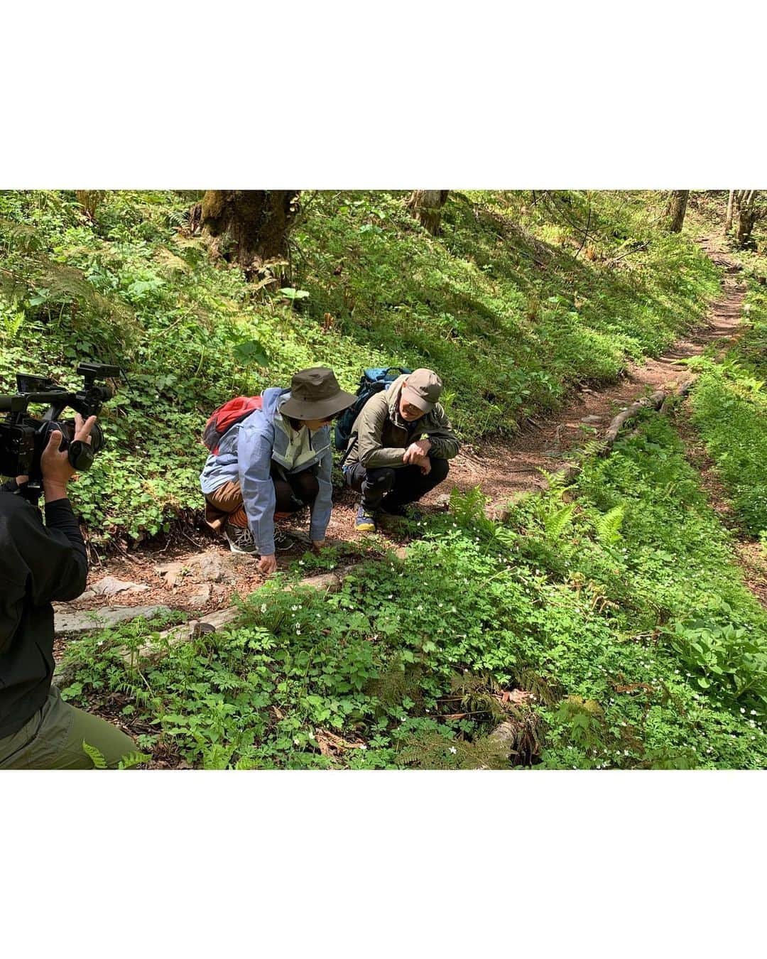 沙羅さんのインスタグラム写真 - (沙羅Instagram)「滝ガール⛰ハマりそう😳  山登りって辛く険しいイメージしかなかったけど、 滝を目指せば頑張れそうだなぁって思った。  自然ミスト、最高♡  自然に触れると、何でこんなに日常に感謝できるんだろうね。 不思議だぁ。。。  #山ガール #滝ガール #こんなに気持ちいいなんて #知らなかった #岐阜県 #五色ヶ原 #登ってよかった #たまにはいいね〜 #スイッチ観てくれたみんな #ありがとう😊」5月30日 23時31分 - sarapika128