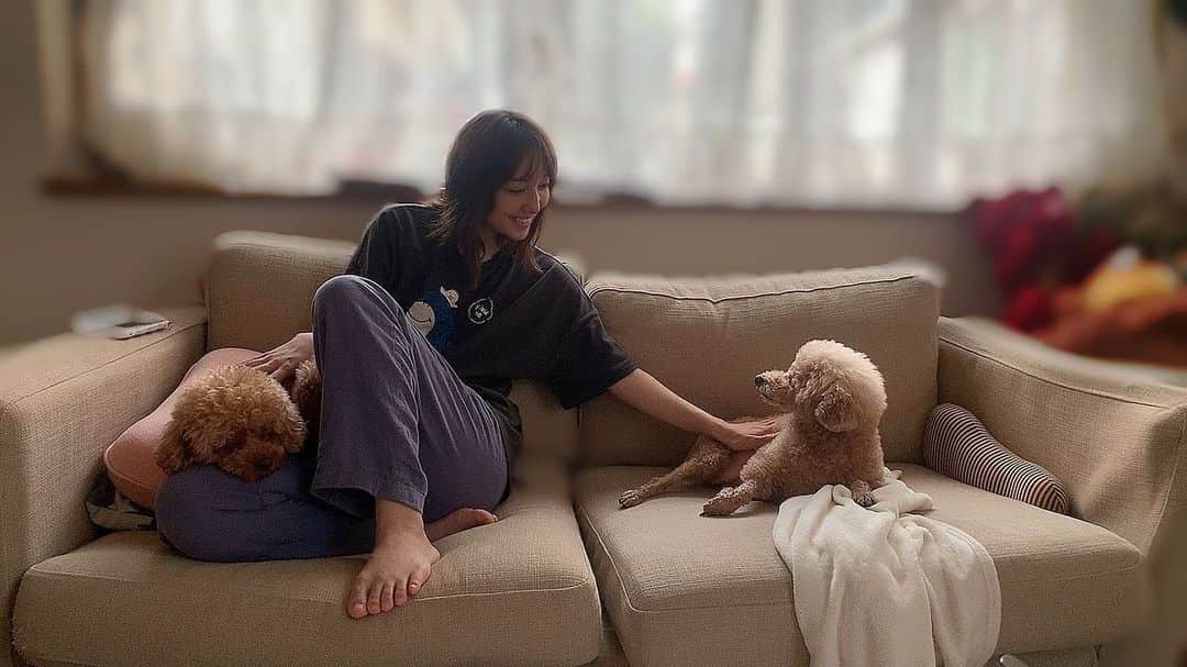 amiのインスタグラム：「だいすきな子達🐶🐶」