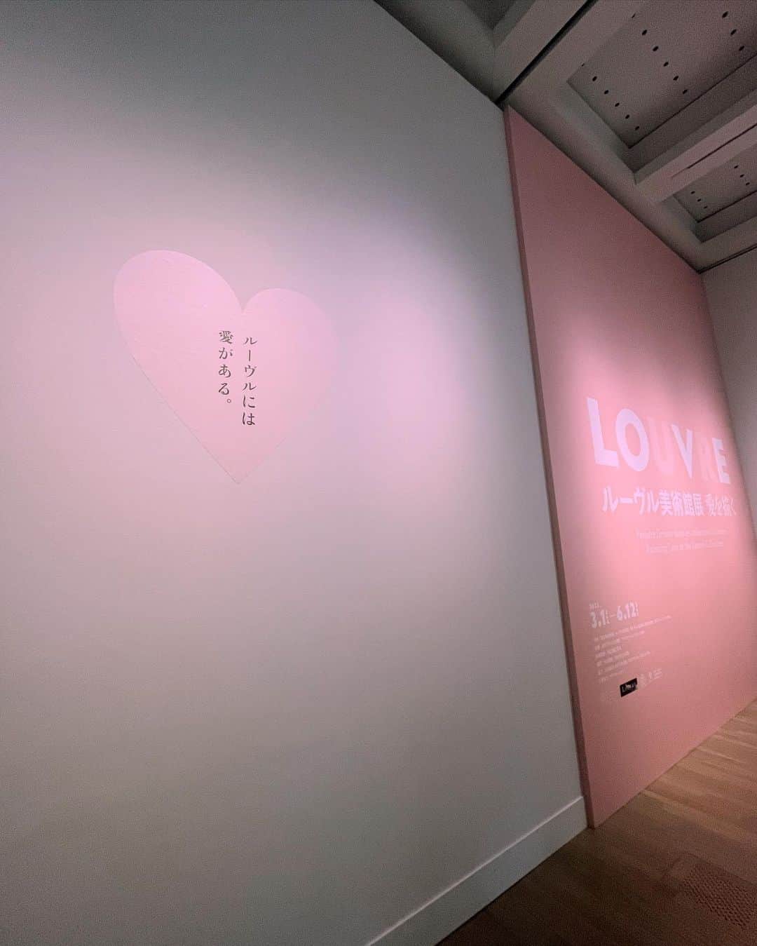 天翔天音さんのインスタグラム写真 - (天翔天音Instagram)「🎠  愛を描く‪𓂃 🌹 ルーブル美術館展へ行って来ました ❤︎  西洋絵画における、 ロマンや愛を切実に表現をして絵に描き出していて ルーブル美術館の名画に宿る 様々な『愛』の表現をした ストーリーを感じる事が出来ました🤍  次はぜひ🇫🇷パリのルーブル美術館へ💭  #ルーブル美術館展 #愛を描く　#louvre #05」5月31日 0時11分 - amane_tensho_official
