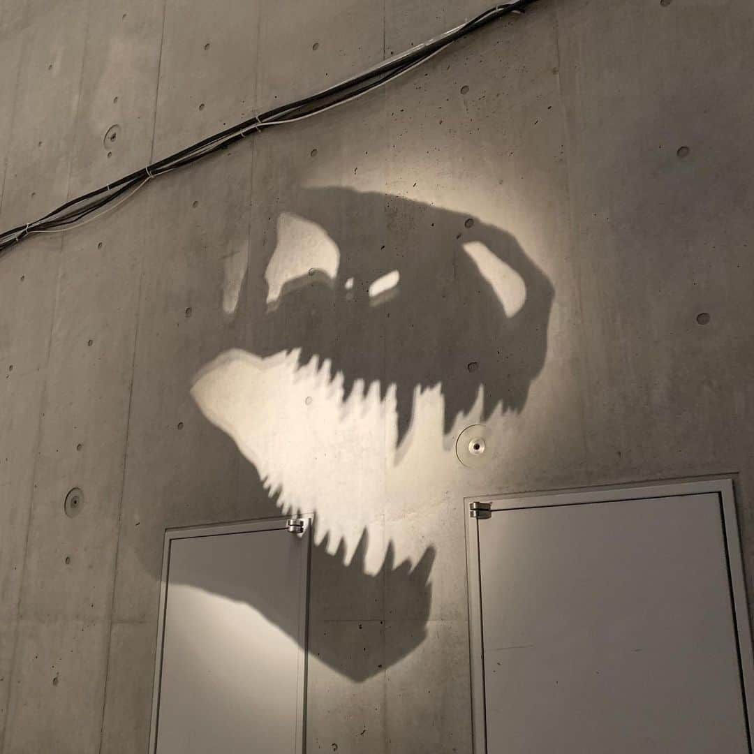 二宮綾海さんのインスタグラム写真 - (二宮綾海Instagram)「🦖🦖🦖」5月31日 10時57分 - a36umi