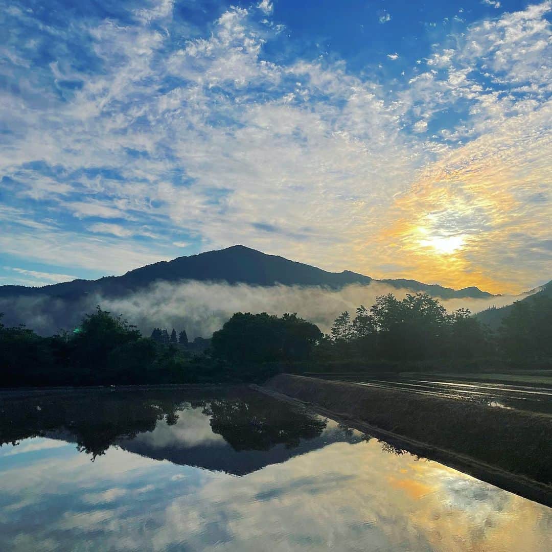 鎌田紘子のインスタグラム：「今日の朝日~。霧がすごい！、 きっれーーい。田んぼ、山、太陽、全部すき。 空気が澄んでる、地球に歓迎されてる . . . . info ーーー fantiaとonlyfansもやってるよ。 ーーー 超オススメの入浴剤（ @diplim.s ）販売中！ ーーー bar 下北沢 @andmerry12  吉祥寺 @andmerry1212」