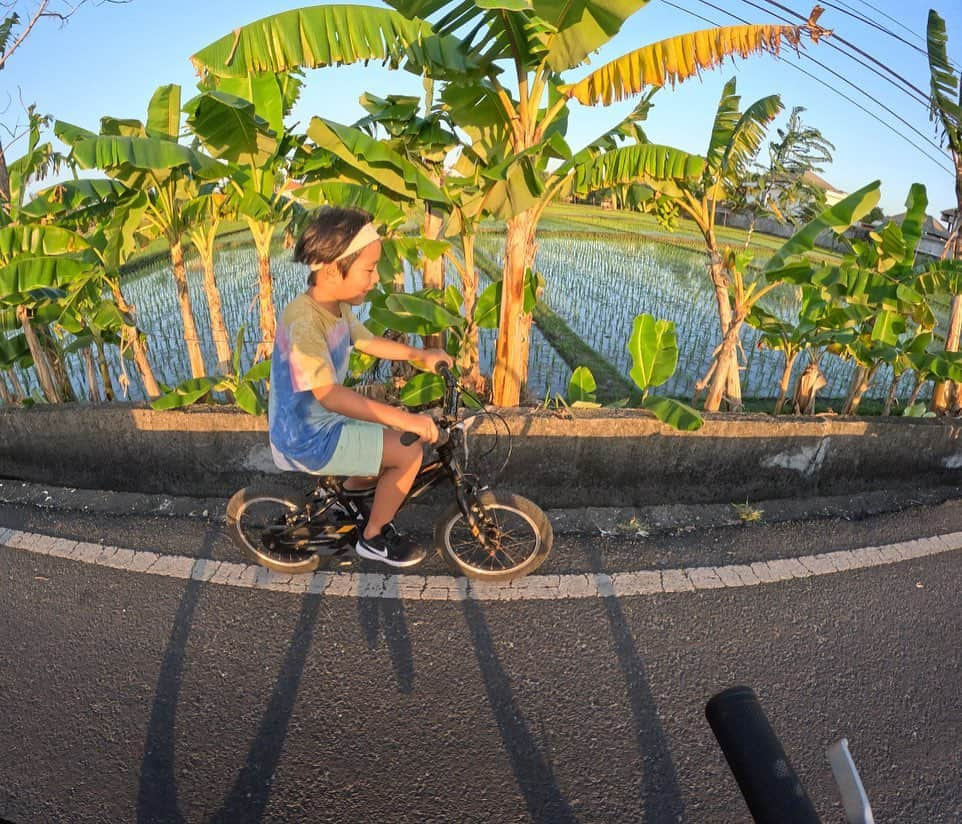 カヒ さんのインスタグラム写真 - (カヒ Instagram)「🚲」5月31日 11時19分 - kahi_korea