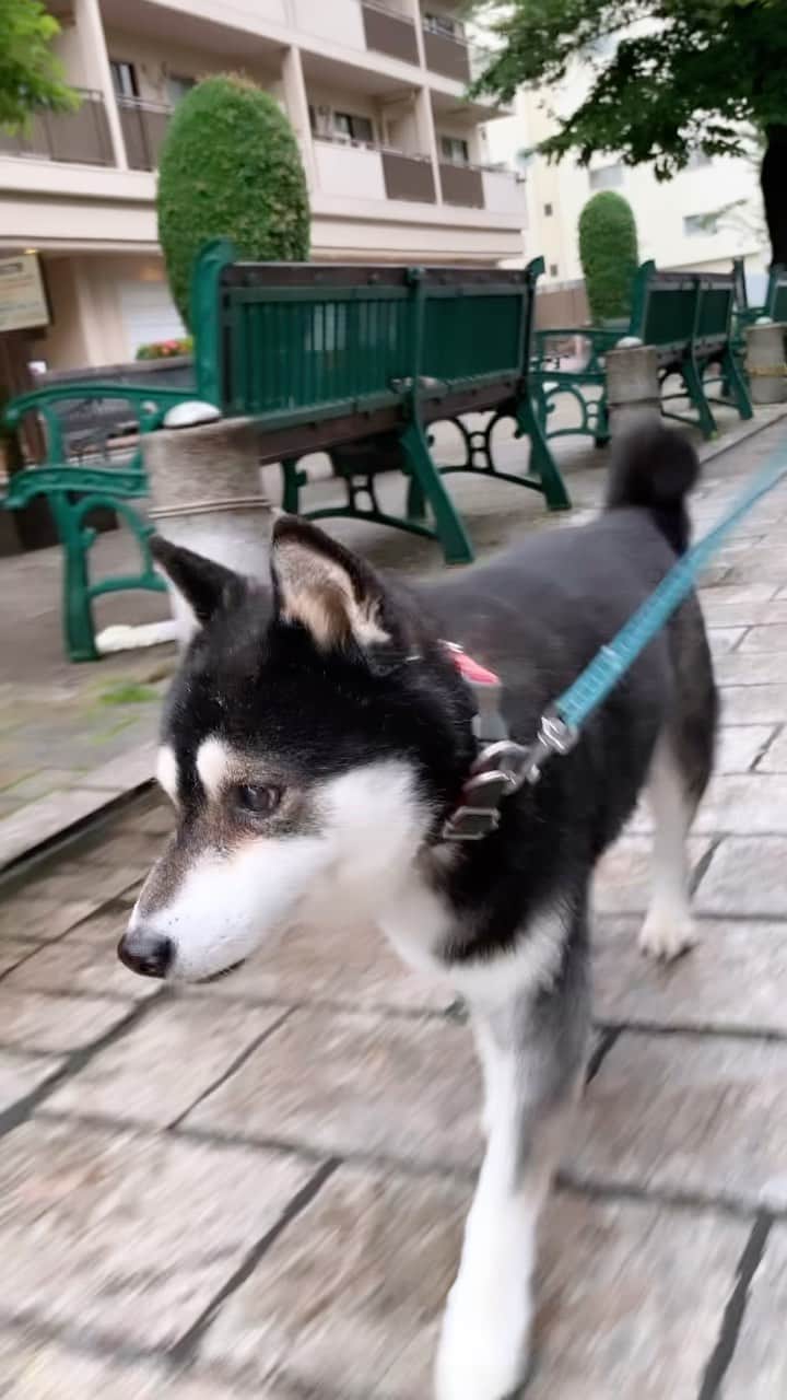 くろのグルメインスタ