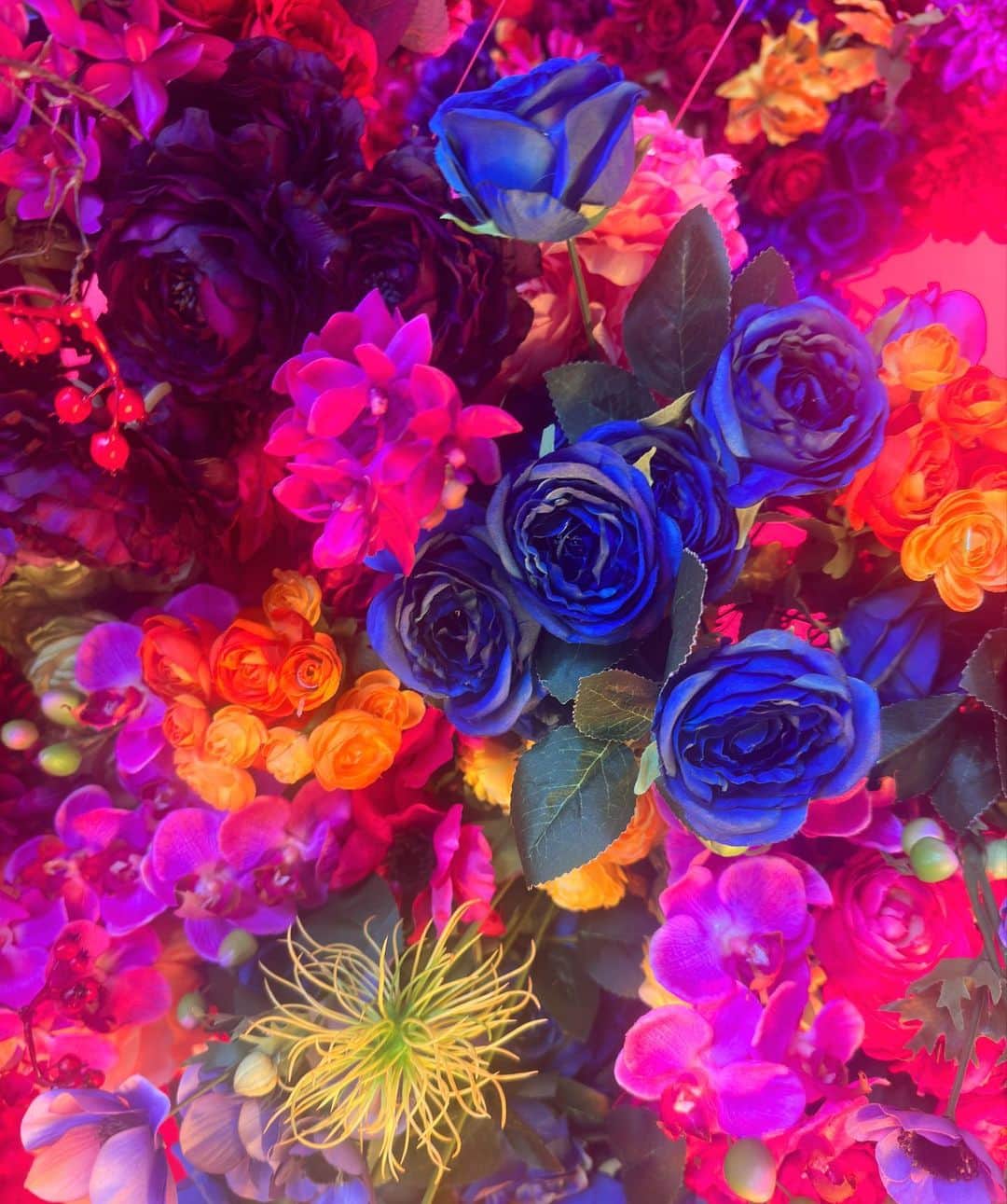 蜷川実花のインスタグラム：「昨日はAERAの撮影。　 こんなお花セットをつくりました❣️ 素敵なのが撮れたので早く見せたい。 そして私どこにいるかわからないくらい馴染んでるw 自分のとった花の写真柄のワンピース着てるから，迷彩柄みたいに隠れてる❕ @endoayumi いつもありがとう😊」