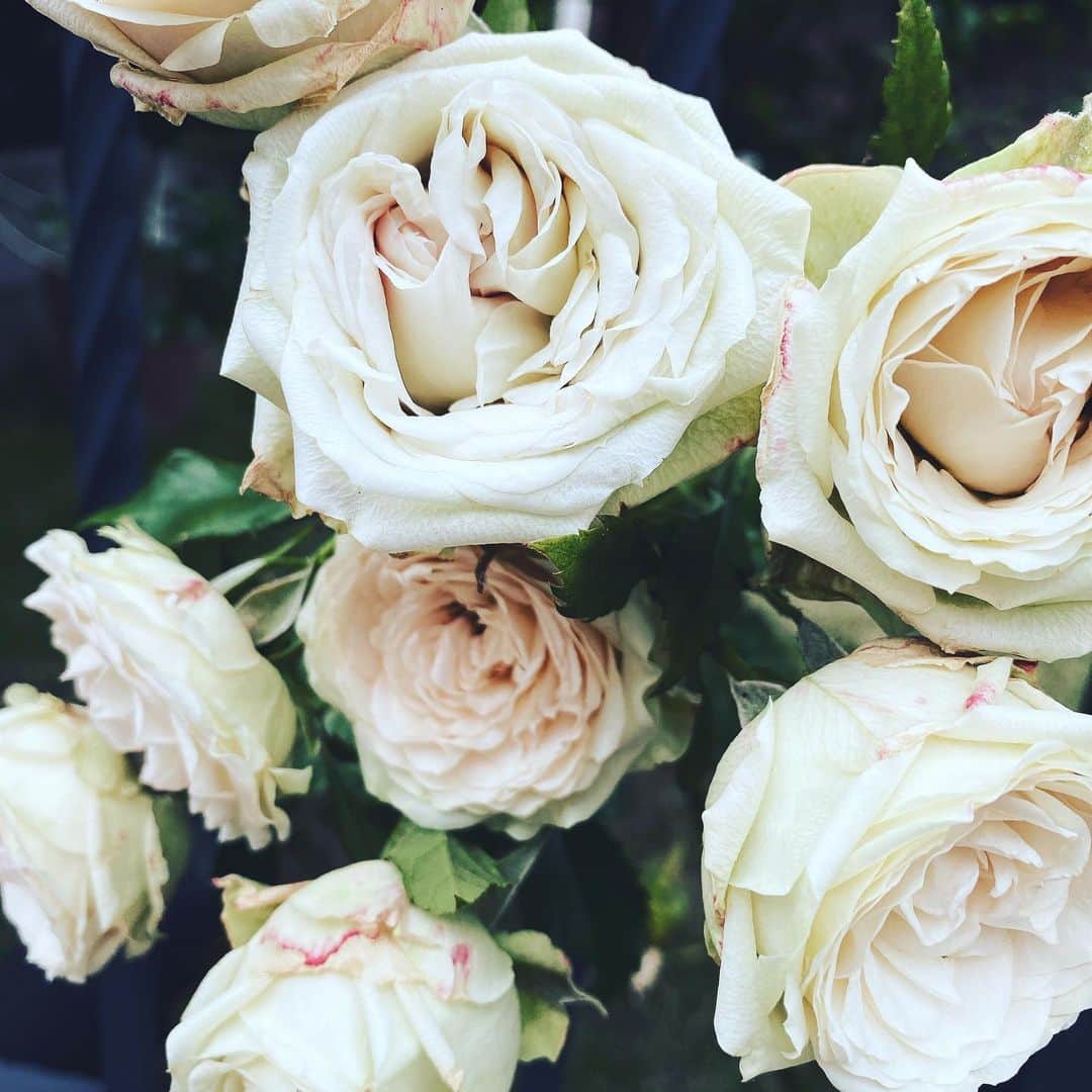 大堀恵のインスタグラム：「おはようございます💐 #朝 #おはようございます」
