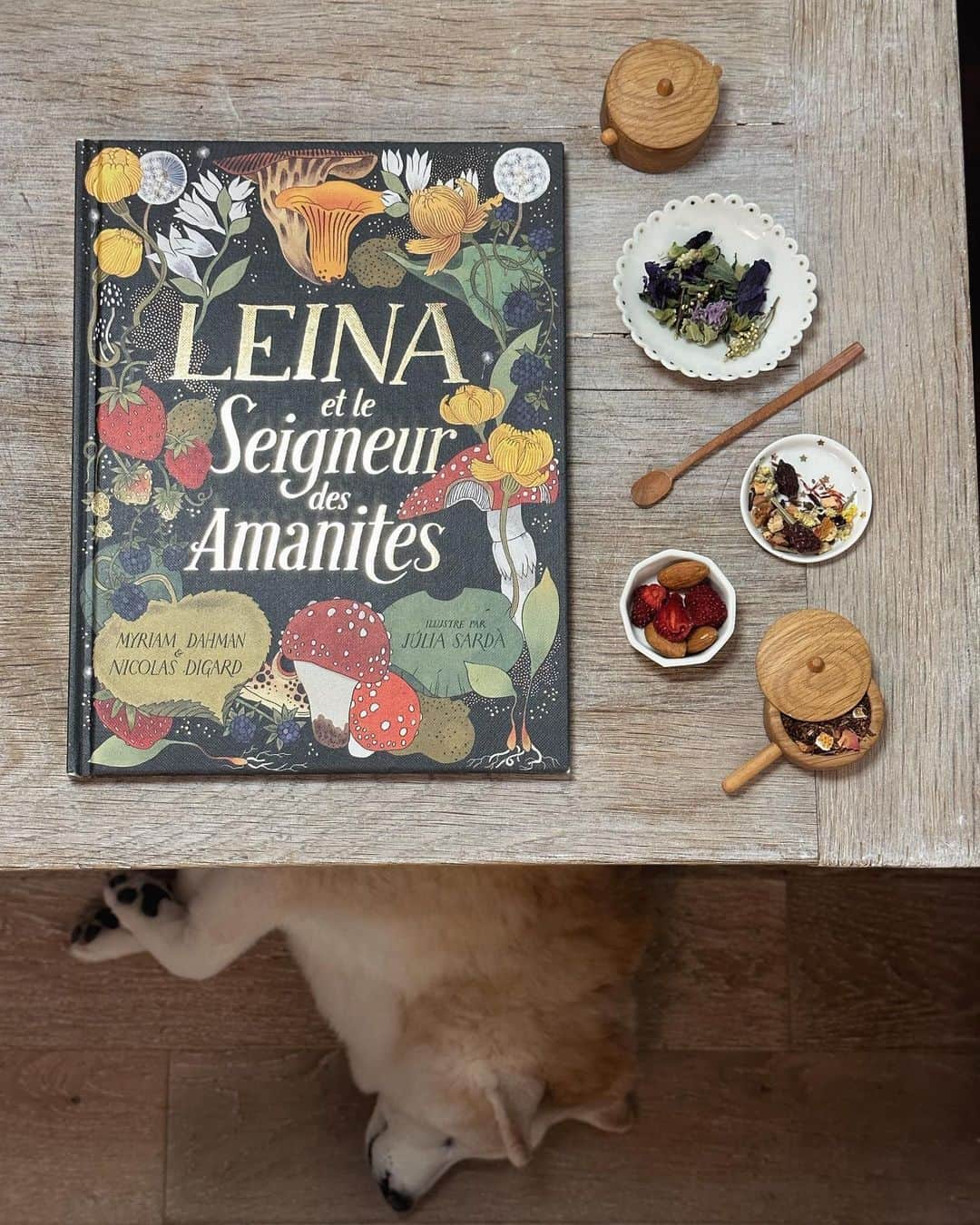 フィロとポンポンのインスタグラム：「Sélection de tisanes & livre…🫖📚」