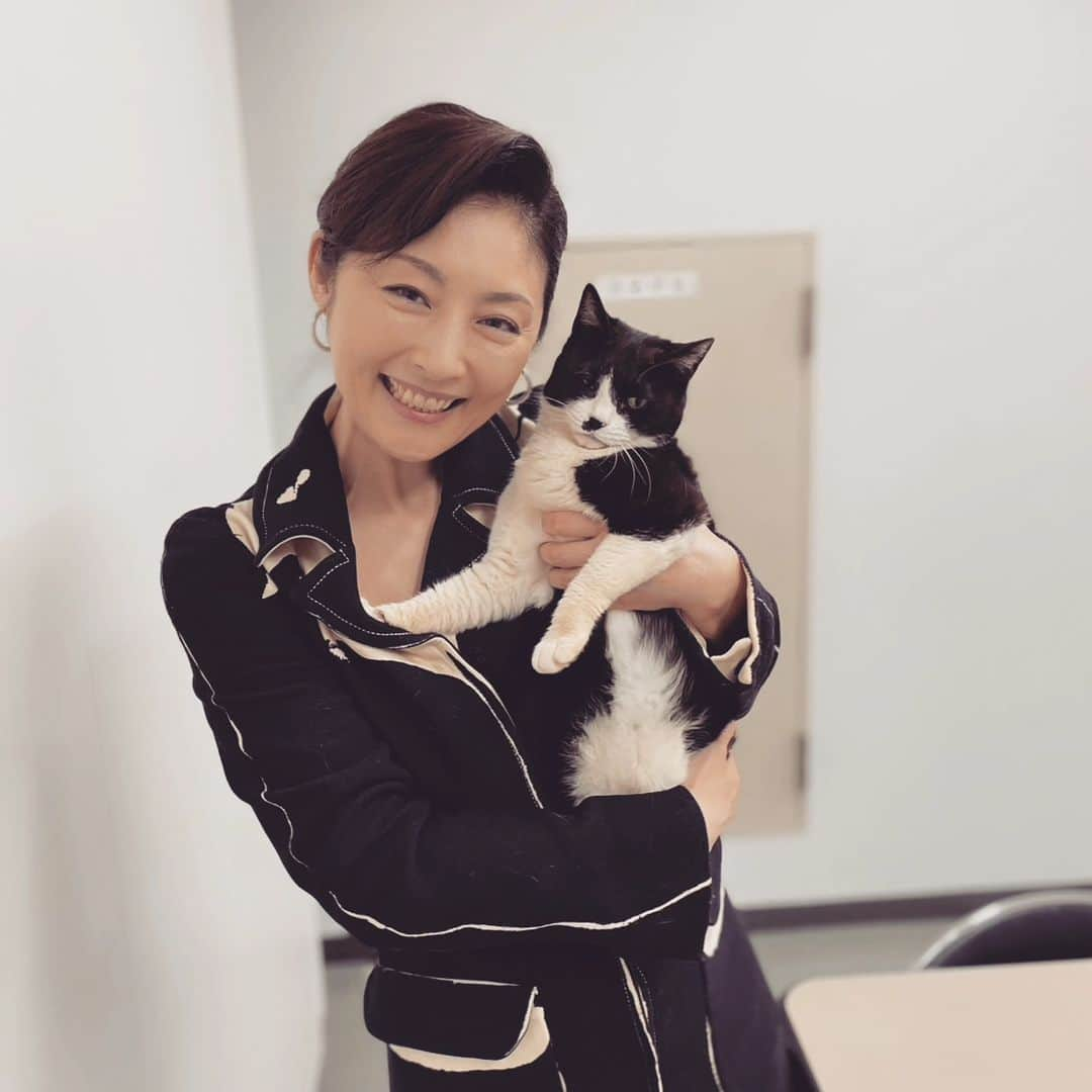 常盤貴子さんのインスタグラム写真 - (常盤貴子Instagram)「本日「それパク」 夜10時 第8話  今夜とうとう高梨部長の過去が暴かれると思うと…緊張💦  なので、癒やしを共有。 吾等がアイドル「リリー」ちゃん💞  #左手注目  #笑顔でガッツリ #離さない #さらに  #右手のホールドきつ目めです（笑） #離さない  #そりゃ嫌がるよね  #5枚目のドン引きリリー #最高やん！ #かわゆMAX #しばし現実逃避   #黒い衣装で猫を抱いたら… #凄いことになりました #オススメしません   #でもでも… #リリーと同じ配色だったから！」5月31日 8時02分 - takakotokiwa_official