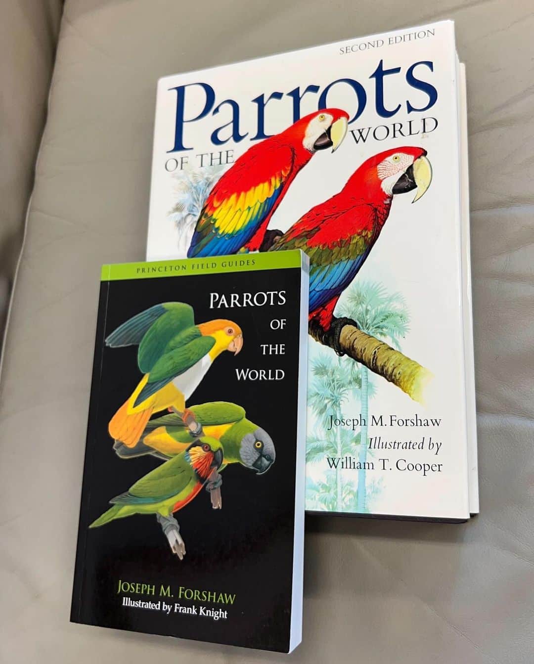 デビッド・ポーコックさんのインスタグラム写真 - (デビッド・ポーコックInstagram)「Growing up I was obsessed with Meyer's parrots - the only parrot around where we farmed in 🇿🇼. Moving to 🇦🇺 I was 🤯😍 with the number of incredible parrots here!  Today is #WorldParrotDay.  What's your favourite parrot?  🇦🇺 is home to 1/6 of the world's parrot species. We have dozens of "true parrots", as well as cockatoos.  Almost all of them need old tree hollows (100 years) to nest in. Habitat loss has meant many of these species are under pressure - some endangered, others critically endangered.」5月31日 9時04分 - davidpocock