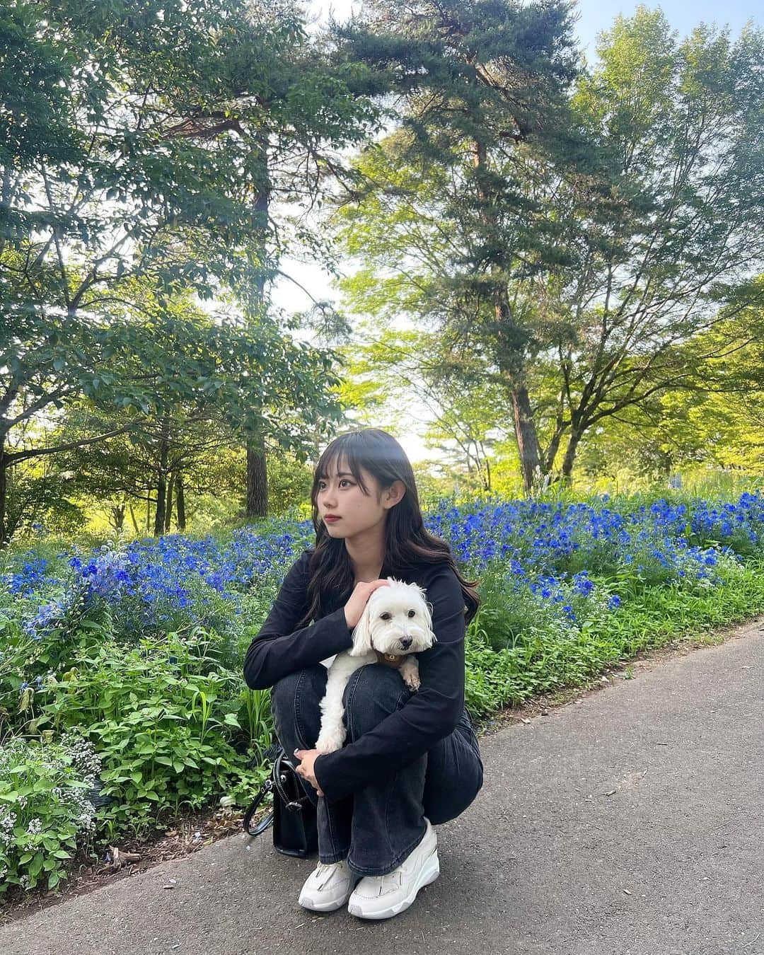 本望あやかさんのインスタグラム写真 - (本望あやかInstagram)「愛犬のみんなとお散歩行ってきた🍃 最後の子は新しく家族になったくるみちゃん🤎🤍」5月31日 19時58分 - ayaka0131_