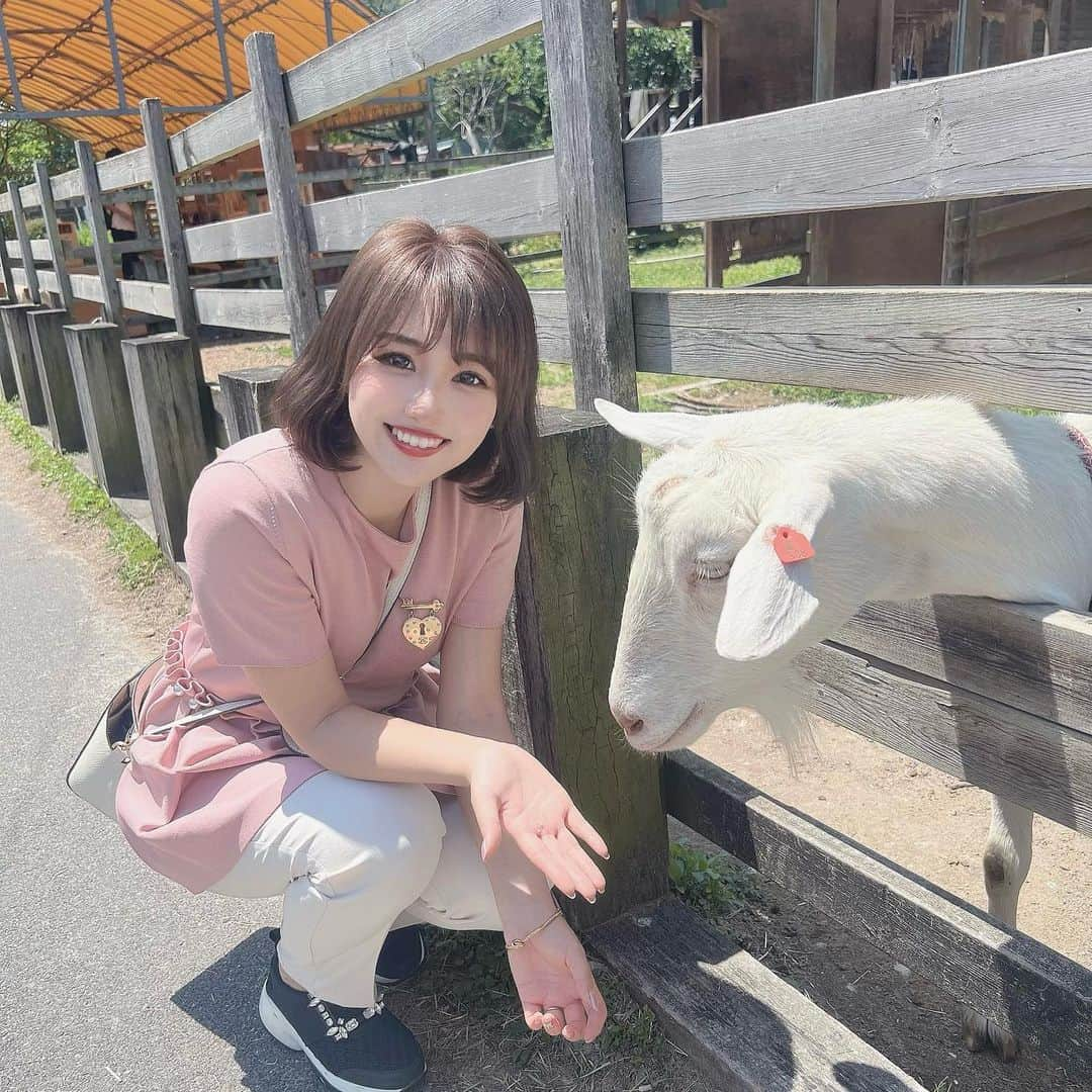 加藤里奈さんのインスタグラム写真 - (加藤里奈Instagram)「⋆  撮影で愛知牧場へ🐐 中学生ぶり？で楽しかった〜🤍  #ootd #fashion #instafood #instagram  #hairstyle #outfit #code #instafashion  #ファッション #撮影 #ヘアスタイル #ヘア  #コーディネート #コーデ #今日の服  #愛知牧場」5月31日 20時06分 - katoco0326