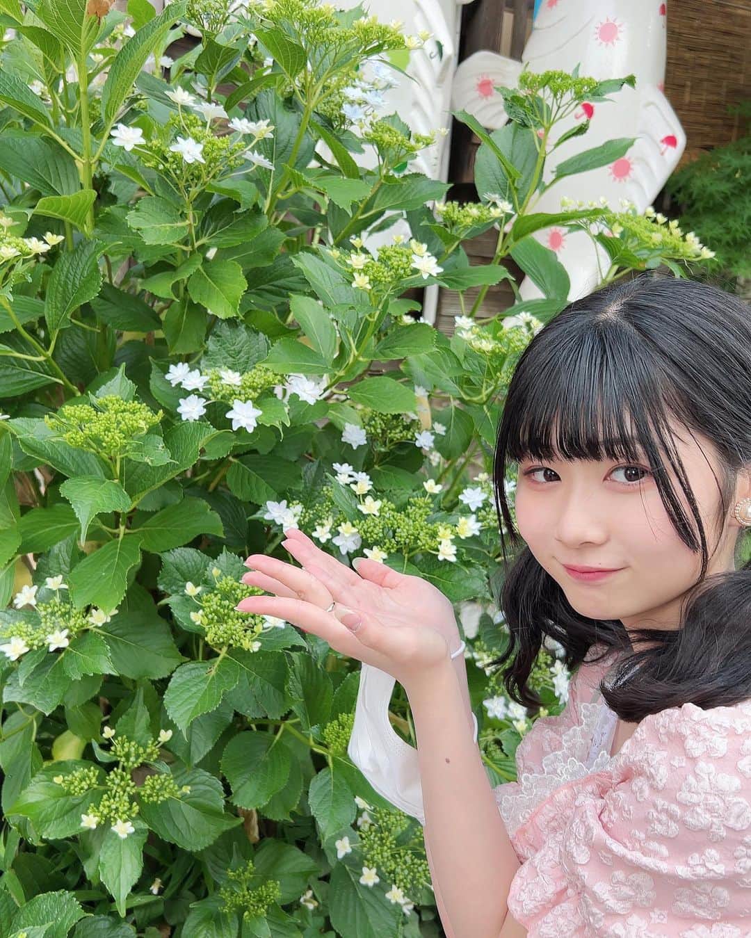 稲川玲さんのインスタグラム写真 - (稲川玲Instagram)「鯉ー！  大きくて立派な鯉が沢山居ましたー！  小さいお花もすごく可愛かった〜 ‪‪❤︎‬ ‪‪❤︎‬ ‪‪❤︎‬  #れいちゃん探検隊  #ReichanWorld  #毎日投稿チャレンジ  #毎日投稿チャレンジ中  #毎日投稿  #れい」5月31日 20時03分 - reichan0_60