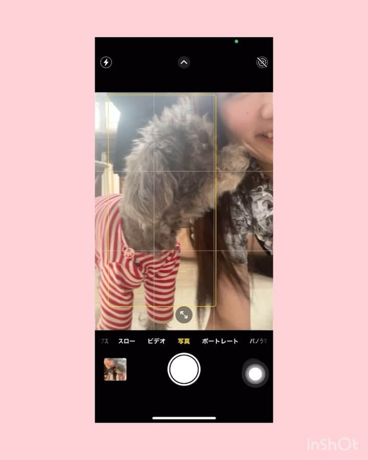 新井ひとみのインスタグラム