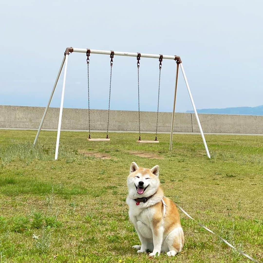 てんパパのインスタグラム