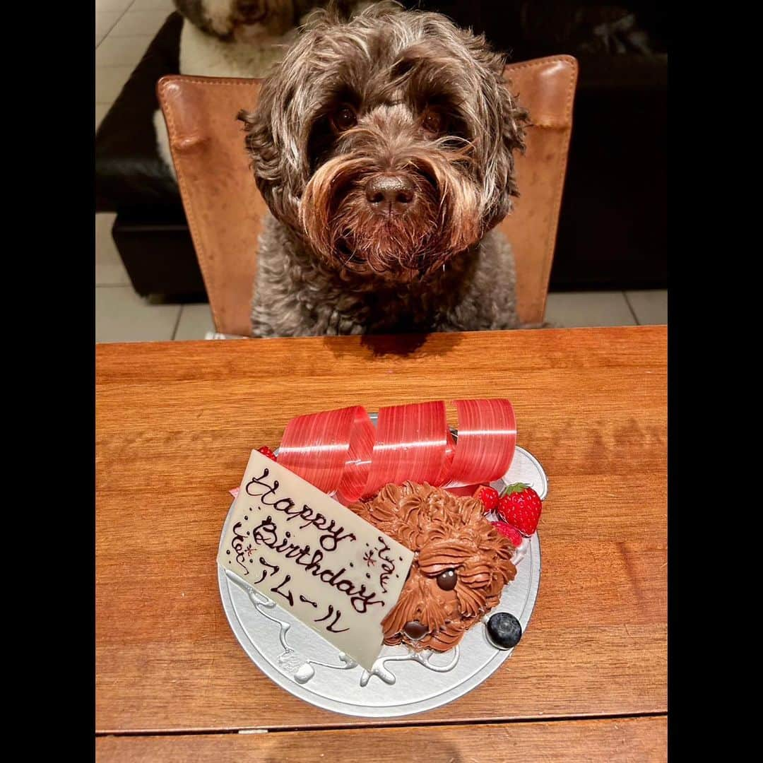 木村拓哉さんのインスタグラム写真 - (木村拓哉Instagram)「⁡ ⁡ ⁡ 「アムの誕生日を祝える喜びと幸せに包まれています❕ ありがとう❕」 ⁡ PEACE‼︎ ⁡ STAYSAFE! ⁡ 拓哉 #木村拓哉#TakuyaKimura」5月31日 20時20分 - takuya.kimura_tak