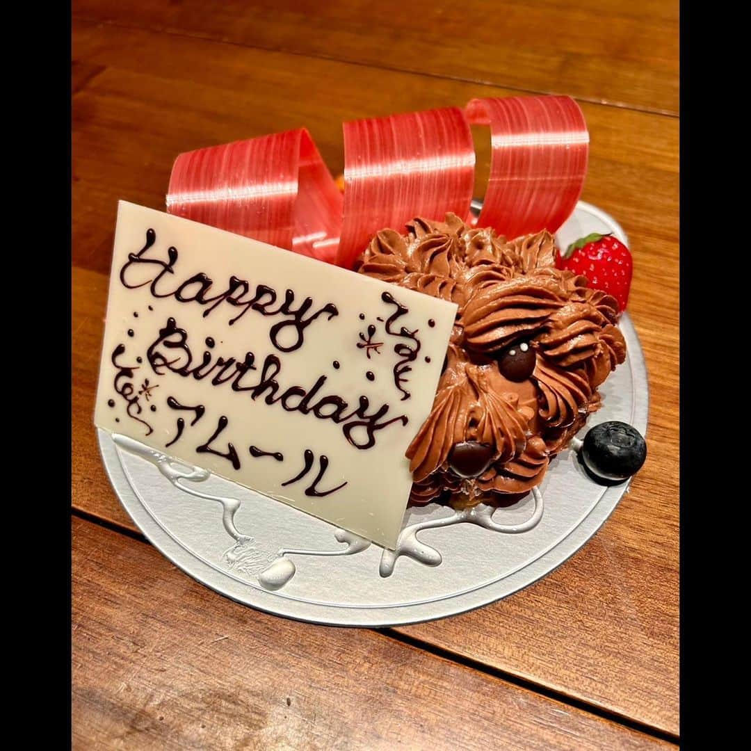 木村拓哉さんのインスタグラム写真 - (木村拓哉Instagram)「⁡ ⁡ ⁡ 「アムの誕生日を祝える喜びと幸せに包まれています❕ ありがとう❕」 ⁡ PEACE‼︎ ⁡ STAYSAFE! ⁡ 拓哉 #木村拓哉#TakuyaKimura」5月31日 20時20分 - takuya.kimura_tak