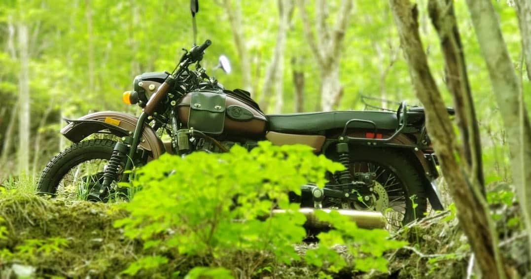 Ural Motorcyclesさんのインスタグラム写真 - (Ural MotorcyclesInstagram)「新緑の季節に林道を駆け抜け、自然を謳歌しませんか？🌿✨ウラルサイドカーは真のアドベンチャーの相棒！自由を感じる風に吹かれながら、未知の道へ踏み出しましょう。緑豊かな森の中で、鳥のさえずりや川のせせらぎを聞きながら、心がリフレッシュされること間違いなし！ウラルと一緒に新たな世界を探索し、自然と一体化しましょう！🌲🏞️ #ウラルサイドカー #アドベンチャー #新緑 #林道 #自然の美しさ  写真　xn0limcdsixzjok (Twitter) #ウラルジャパンフォト　のタグであなたのウラルの写真／動画をシェアしましょう！」5月31日 11時27分 - ural_japan_official