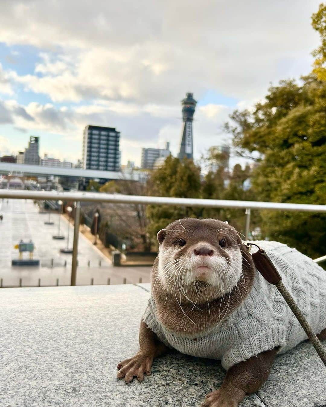 藤井香愛のインスタグラム