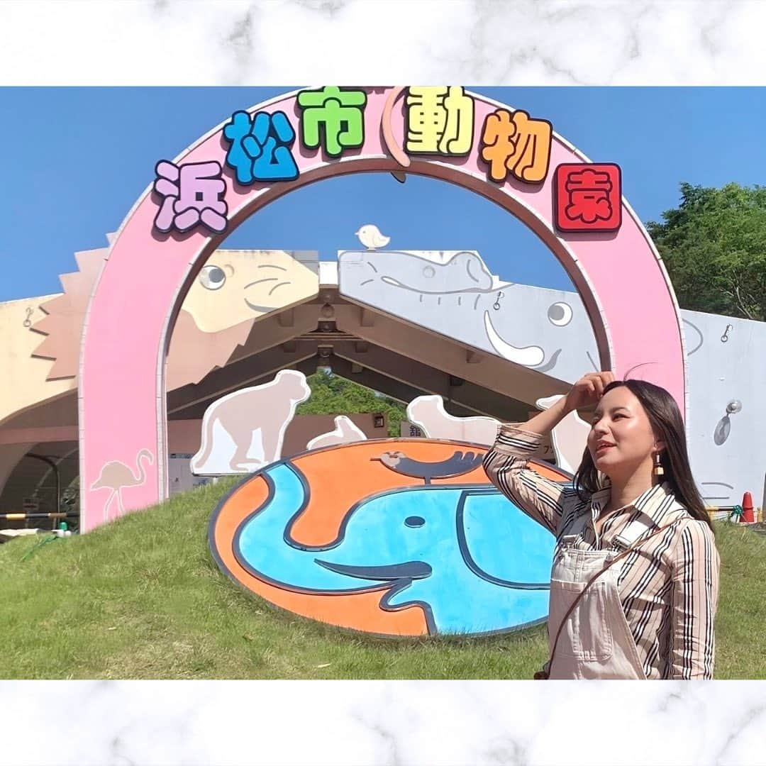 遊佐ちえみさんのインスタグラム写真 - (遊佐ちえみInstagram)「🦁🐒🐻  📍浜松市動物園 はまℤ𝕆𝕆 静岡県浜松市西区舘山寺町199  久しぶりに行くと童心にかえって はしゃいでしまいます🥹  その時にしか見られない表情や仕草が たまりません。  大人500円 中学生以下 無料  駐車場あり(200円)  #浜松市動物園 #はまZOO #レッサーパンダ #ゴールデンライオンタマリン #キリン #カピバラ #ライオン #ツキノワグマ #海の湖HAMANAジェンヌ #visit浜名湖」5月31日 12時09分 - yusa_cgram