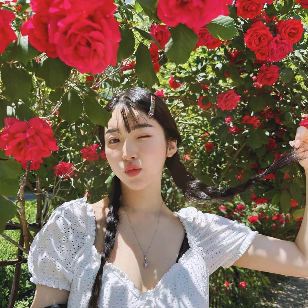 ゆかさんのインスタグラム写真 - (ゆかInstagram)「Have a lovely day🌷🌷🌷 . . . #foryou #rose #portrait #장미 #인물사진 #バラ #ootd #韓国ファッション #韓国コーデ #오오티디」5月31日 12時27分 - bjyuka