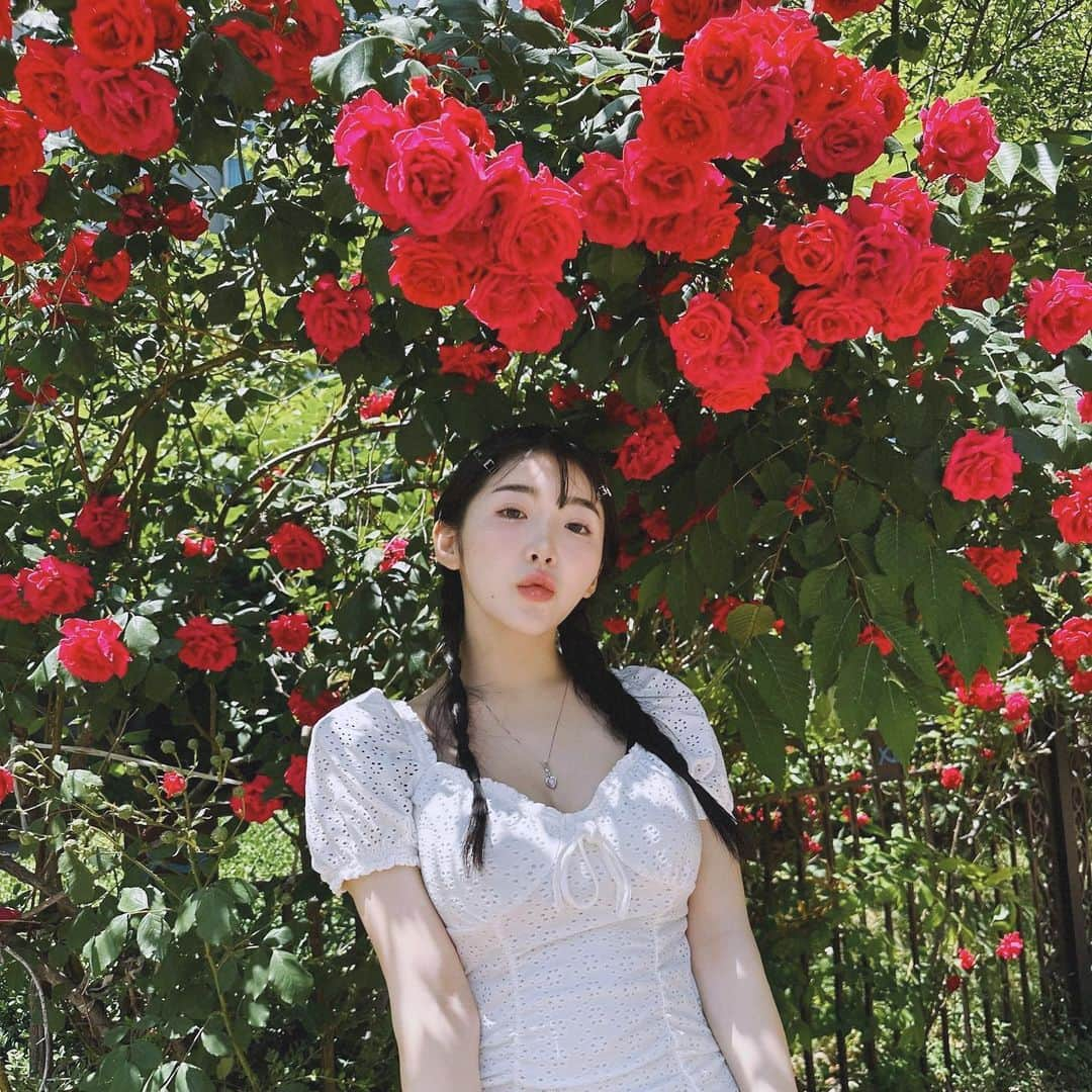 ゆかさんのインスタグラム写真 - (ゆかInstagram)「Have a lovely day🌷🌷🌷 . . . #foryou #rose #portrait #장미 #인물사진 #バラ #ootd #韓国ファッション #韓国コーデ #오오티디」5月31日 12時27分 - bjyuka