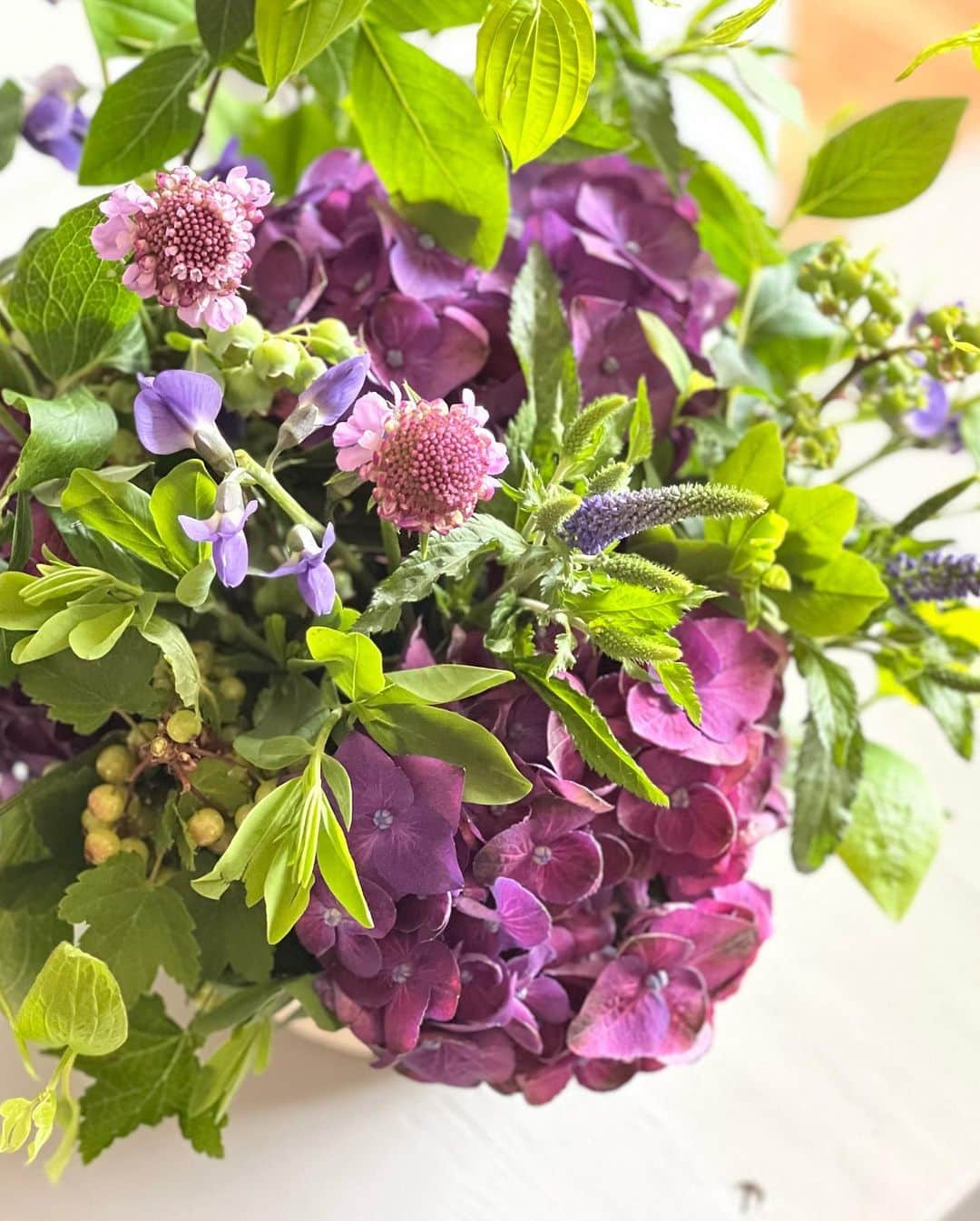 TODAY'S SPECIALさんのインスタグラム写真 - (TODAY'S SPECIALInstagram)「＜WORKSHOP-Kyoto＞ 本日京都店では、FLOWER griotte（@miyano1973）さんをお迎えし、紫陽花を使ったアレンジを作りました。 . まずはオアシスに紫陽花をさしてバランスを作っていきます。 . ブルーベリーは葉を間引いて実を見せると可愛いです。 . クレマチスやスカビオサ、ハゼなど８種類の草花を使って仕上げていきます。 . これからの梅雨にぴったりなアレンジになりました！ .  #todaysspecial #トゥデイズスペシャル #kyotobal #京都BAL #ワークショップ#flowergriotte #アレンジメント #ts_report」5月31日 12時34分 - cibone_ts