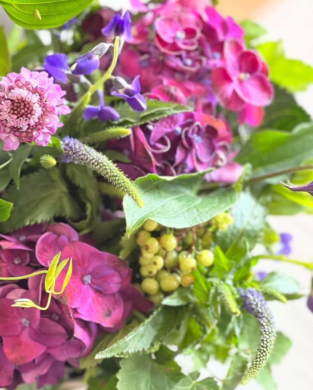 TODAY'S SPECIALさんのインスタグラム写真 - (TODAY'S SPECIALInstagram)「＜WORKSHOP-Kyoto＞ 本日京都店では、FLOWER griotte（@miyano1973）さんをお迎えし、紫陽花を使ったアレンジを作りました。 . まずはオアシスに紫陽花をさしてバランスを作っていきます。 . ブルーベリーは葉を間引いて実を見せると可愛いです。 . クレマチスやスカビオサ、ハゼなど８種類の草花を使って仕上げていきます。 . これからの梅雨にぴったりなアレンジになりました！ .  #todaysspecial #トゥデイズスペシャル #kyotobal #京都BAL #ワークショップ#flowergriotte #アレンジメント #ts_report」5月31日 12時34分 - cibone_ts