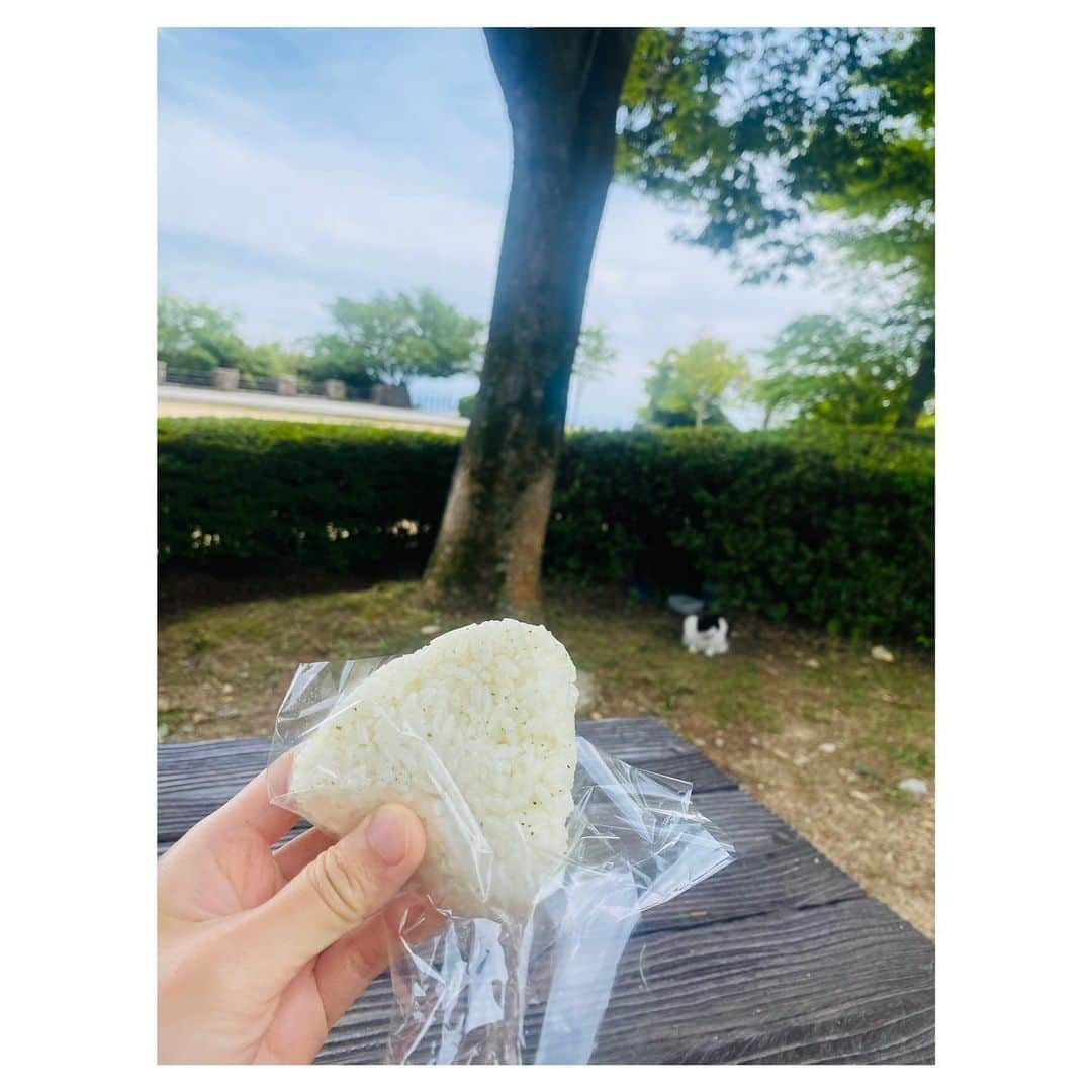 今泉マヤさんのインスタグラム写真 - (今泉マヤInstagram)「🗻  まや界の大先輩に会いに。  山の麓にある #まやむすび さんの塩むすび.. とってもおいしかった🍙  #摩耶ブレンドコーヒー と #摩耶カレー はお土産に🍛」5月31日 12時42分 - maya.imaizumi