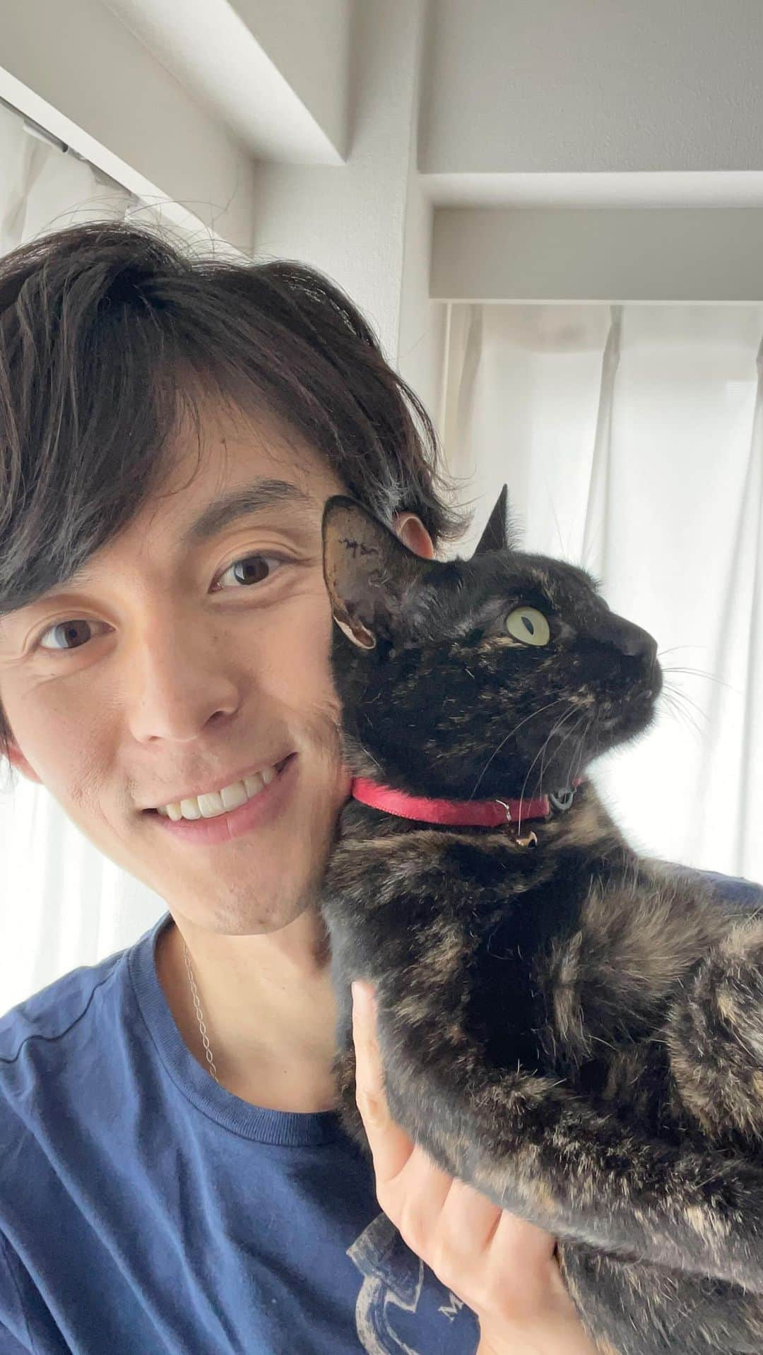 片岡信和のインスタグラム：「週１インスタライブ。 遠くを見つめているココさん、流石だ♪  #猫 #猫のいる暮らし  #ねこ #ねこすたぐらむ  #保護猫 #保護猫と暮らす #家族  #cat #catsofinstagram  #catlover #catlife」