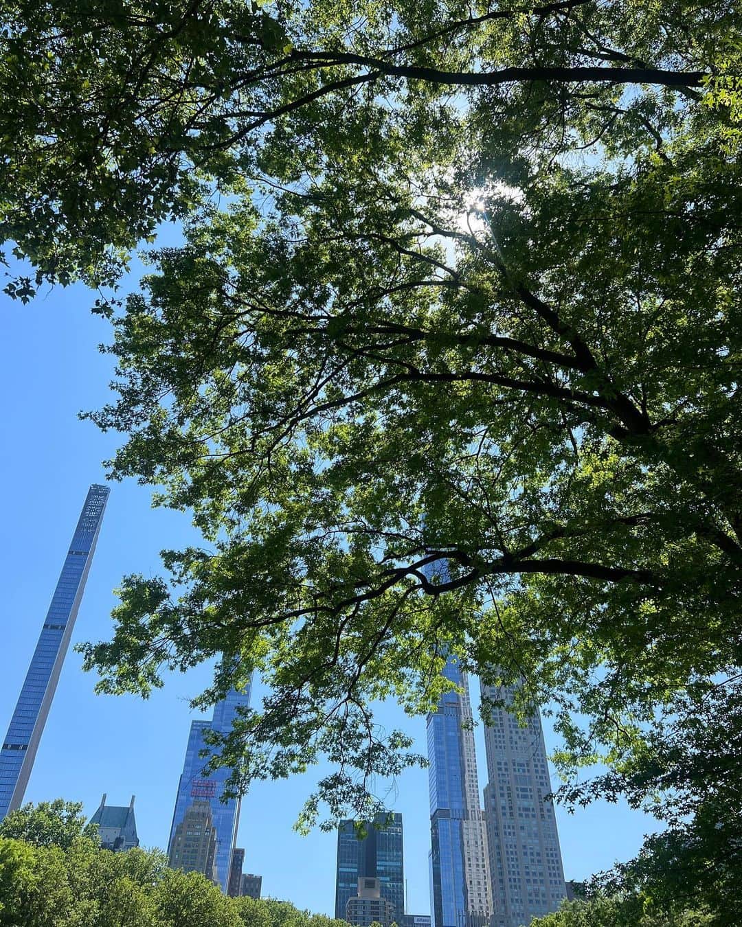滝沢結貴のインスタグラム：「NY photo dump 💛  #newyork #nyc #photodump #ニューヨーク旅行 #ニューヨーク生活 #アメリカ生活」