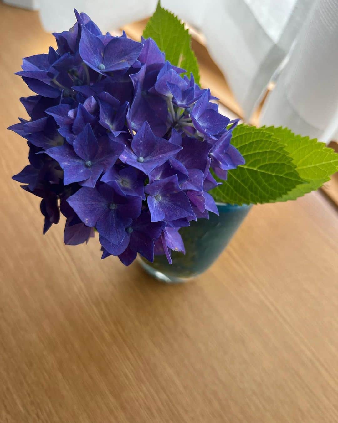 志崎樺音さんのインスタグラム写真 - (志崎樺音Instagram)「・  この時期花が沢山咲いていて綺麗なので時が止まってくれたら良いなと思ったり  思わなかったり  ぱっと未来に飛んじゃいたいと思ったり  去年もそんなこと言ってた気が笑」5月31日 14時07分 - kshizaki_official