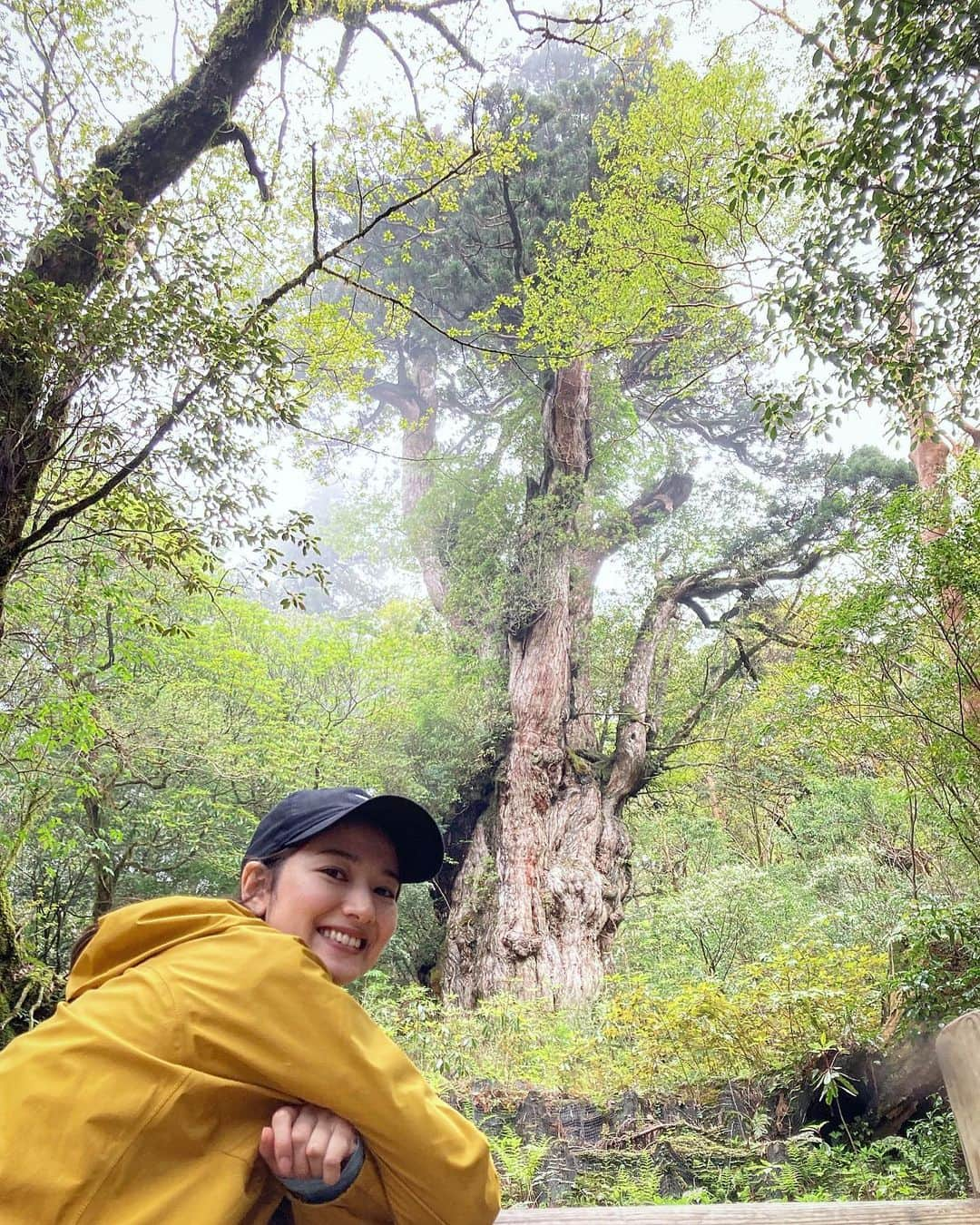 黒澤はるかのインスタグラム：「🌲 少し前の話ですが、 今年の誕生日は、新しい事に挑戦したいと思い、 屋久島へ屋久杉を観に行く旅に出ました🐦‍⬛🌿 10時間以上のトレッキング。 登山初心者にはなかなかハードルが高いと思いましたが、 ずっと行ってみたかったので勢いっ‼︎ 色々ありましたが長くなるので語りません。笑 私の人生における教訓を得ました✨  1枚目がその屋久杉。 今はもう近くには行けないように保護されています。 写真だと大きさが伝わらないですね。笑 そして、私のポッケがお菓子でパンパンに膨れ上がっている事は気づかないフリをしてください。笑 でも屋久杉で食べたアーモンドチョコは天使の落とし物なのかな？と思うくらいあり得ない程に美味しく感じて、一箱なんて余裕でお腹にぽんっ！でした。笑  好きな写真達はまた次の投稿にします♡  湿気が好きな私には、とても呼吸のしやすい環境だったなぁ✨」