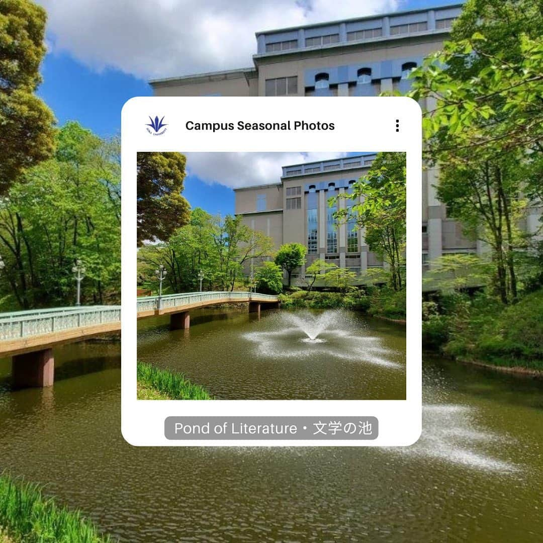 Soka Universityさんのインスタグラム写真 - (Soka UniversityInstagram)「Campus Seasonal Photos April ⑤ Nature photos of the campus.  #discoversoka #sodaigram #sodaipictures #sokauniversity #創価大学 #hachioji #八王子 #tokyo #東京 #campus #キャンパス #university #大学 #students #学生 #nature #自然 #april #卯月 #spring #春 #fourseasons #四季 #environment #環境」5月31日 14時30分 - sokauniversity