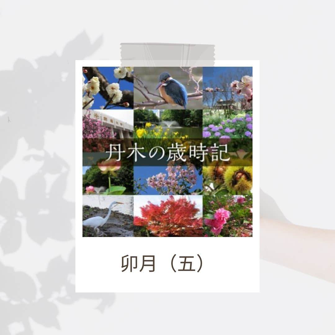 Soka Universityのインスタグラム